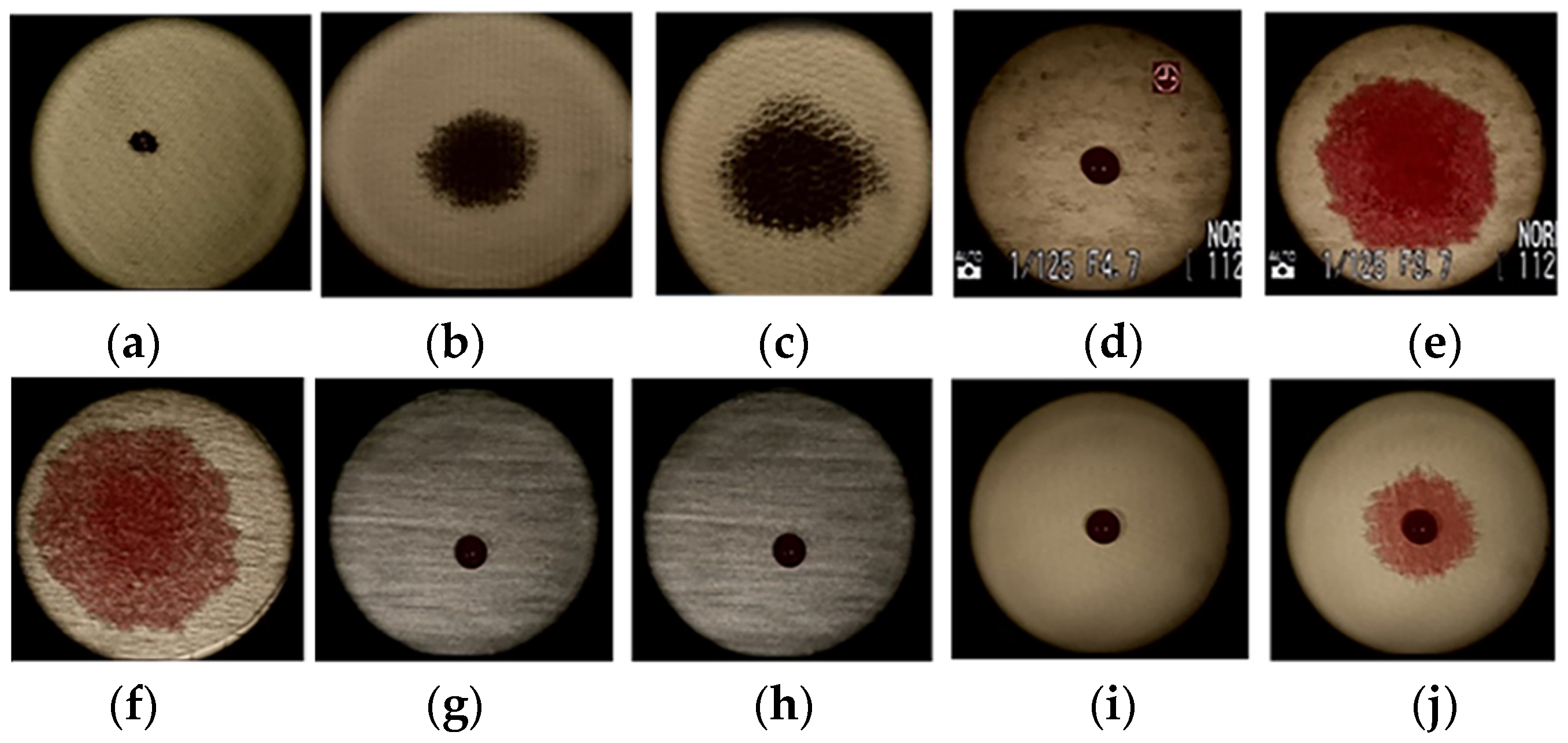 Fibers 12 00020 g005