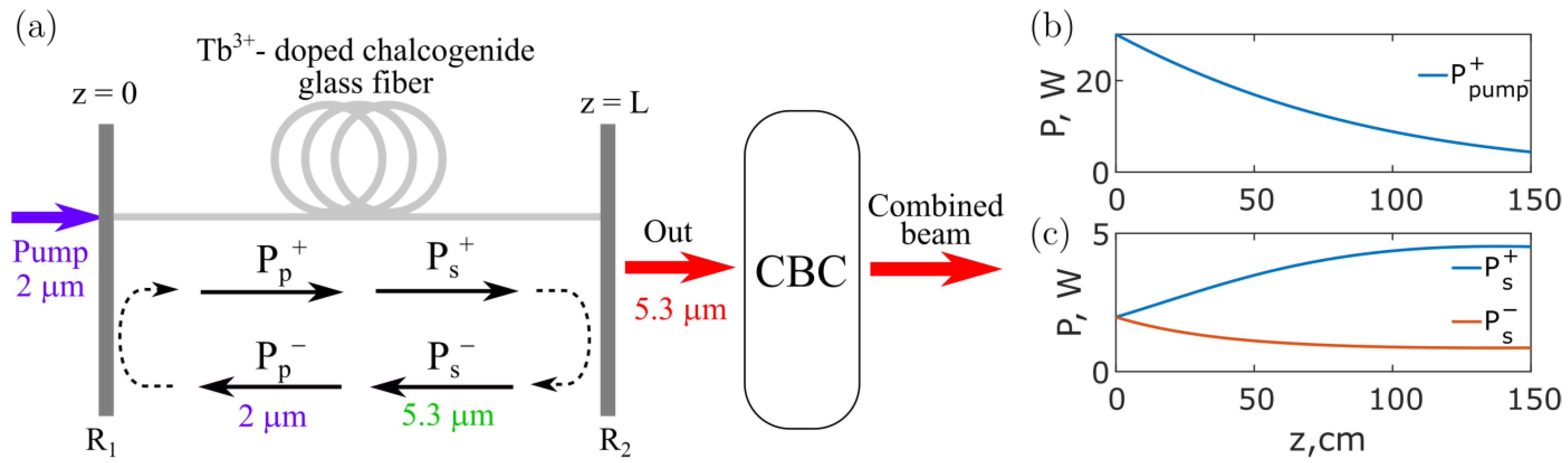 Fibers 12 00025 g003
