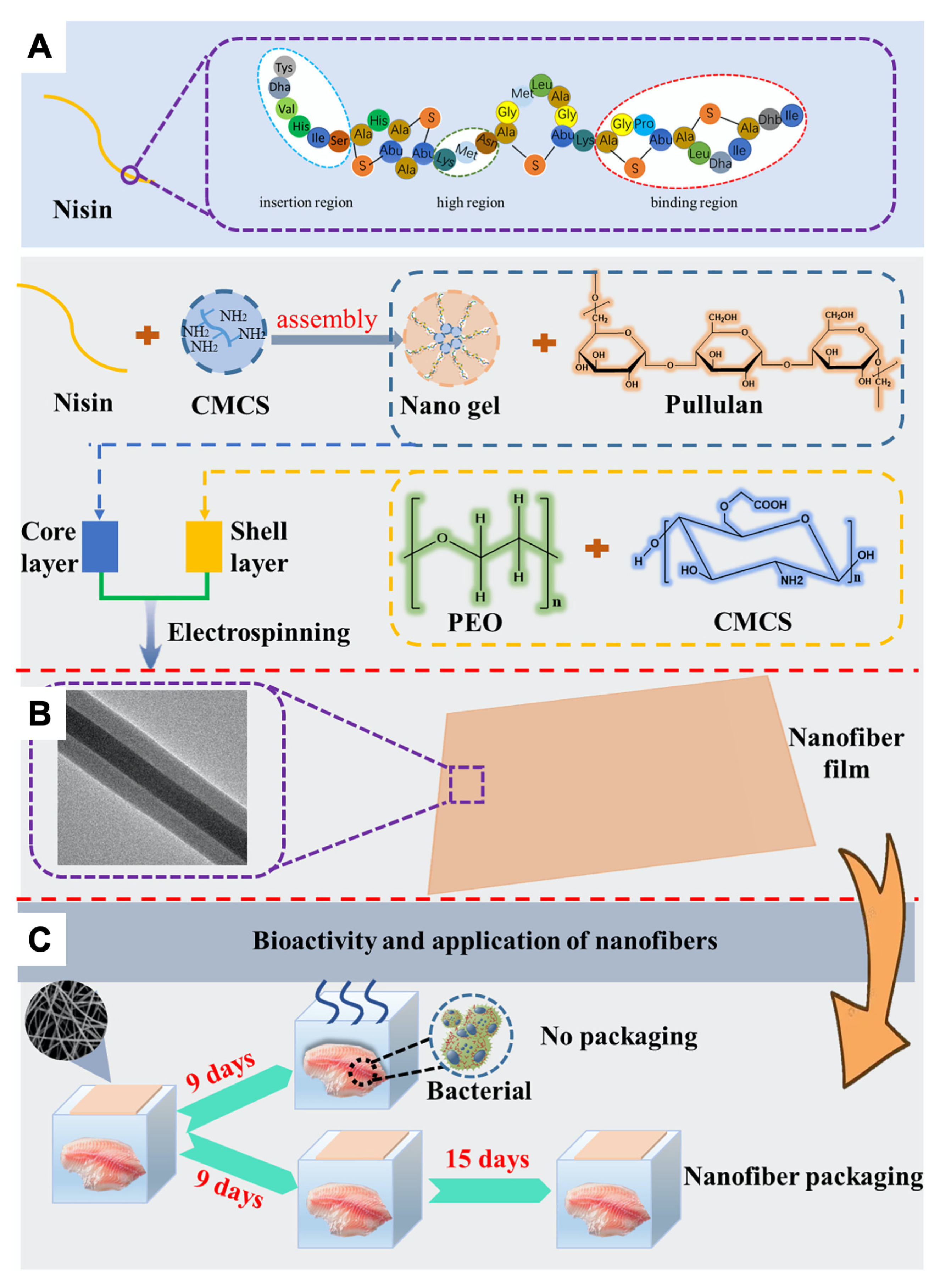 Fibers 12 00026 g011