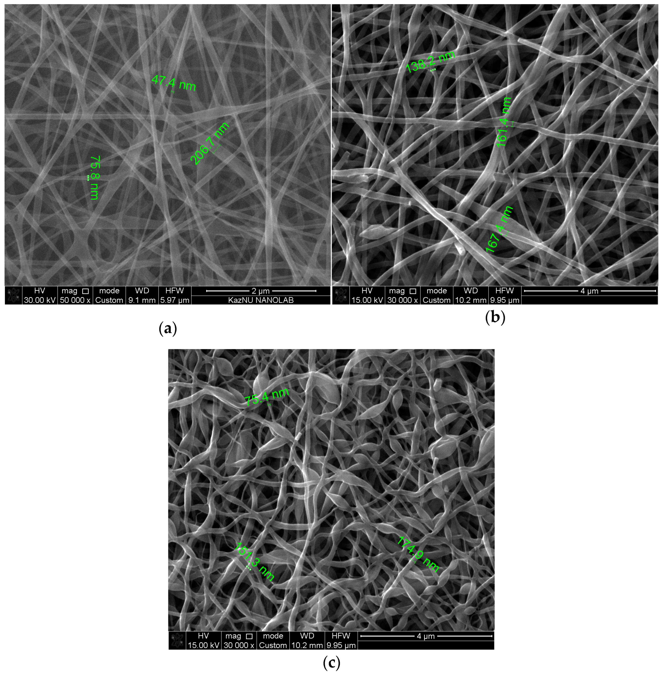 Fibers 12 00027 g009