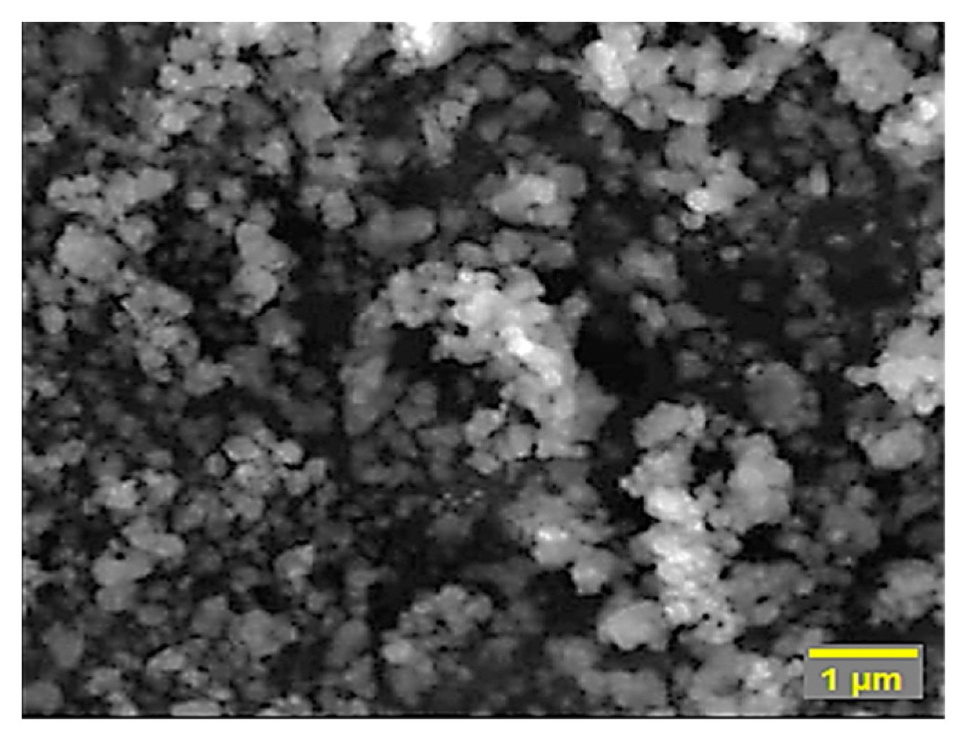 Fibers 12 00033 g001