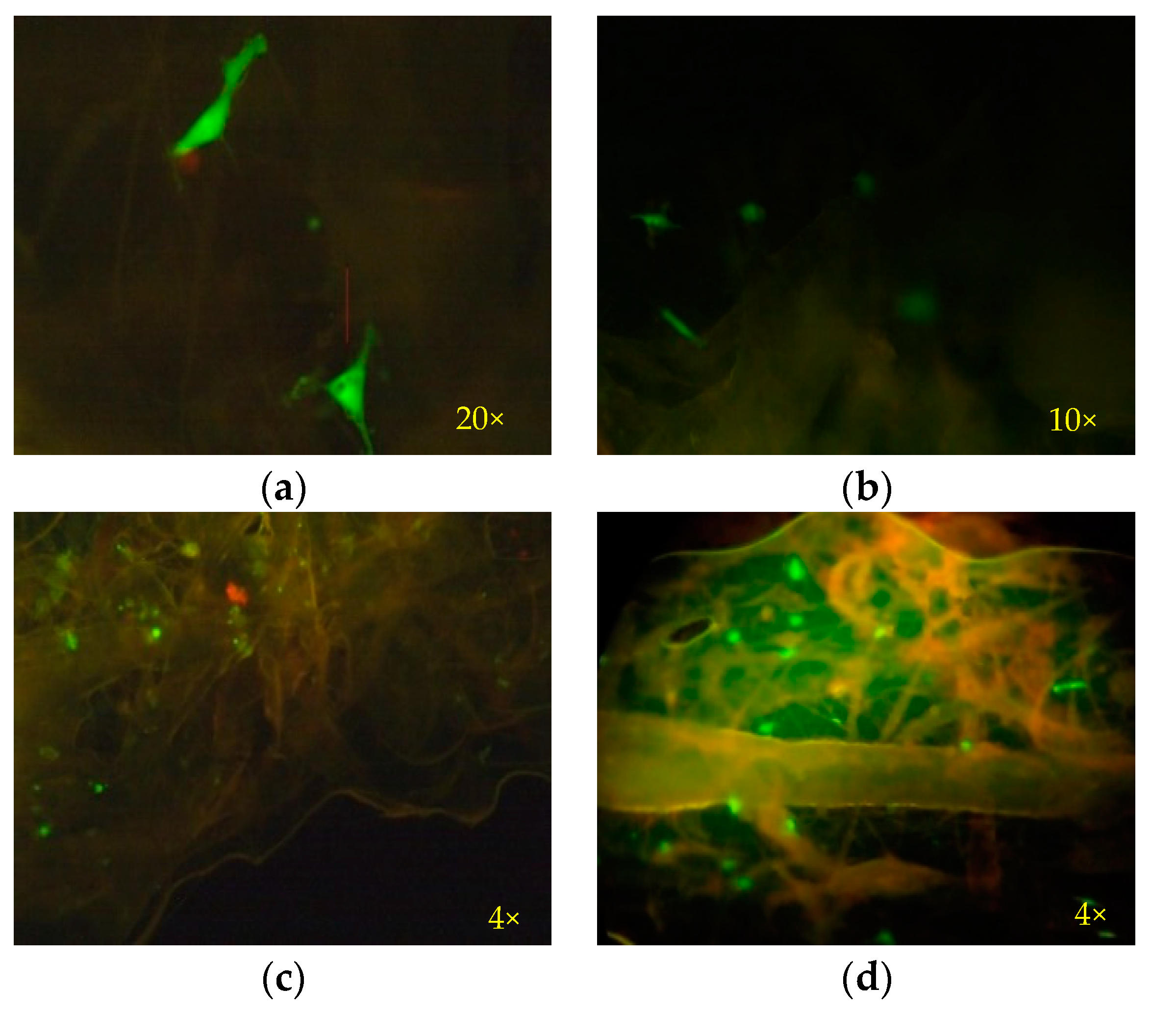 Fibers 12 00033 g010