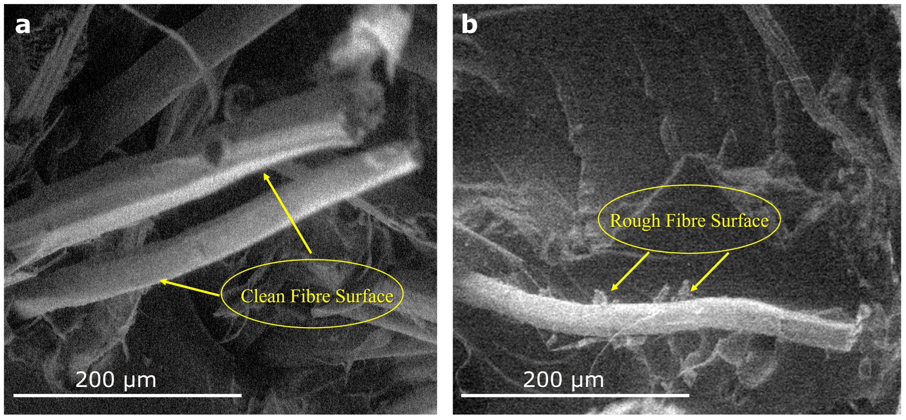 Fibers 12 00034 g004 Fibers 12 00034 g004