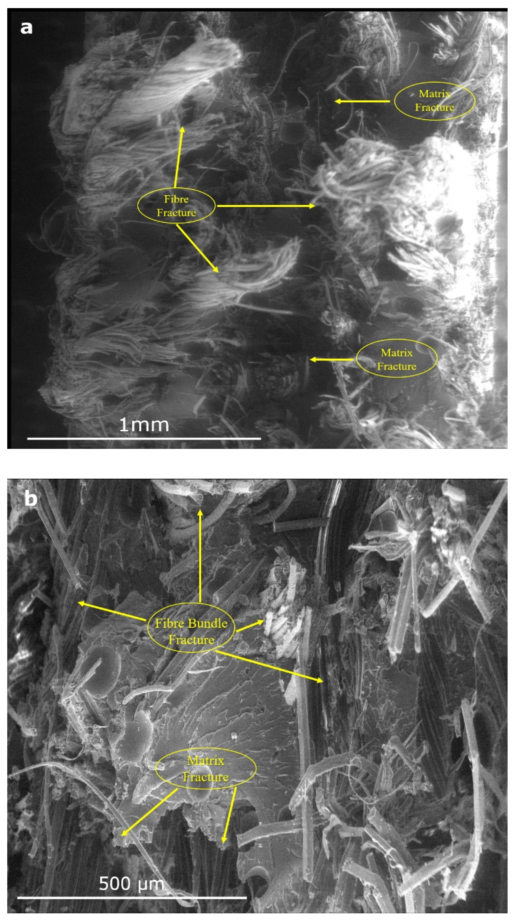Fibers 12 00034 g010a Fibers 12 00034 g010a