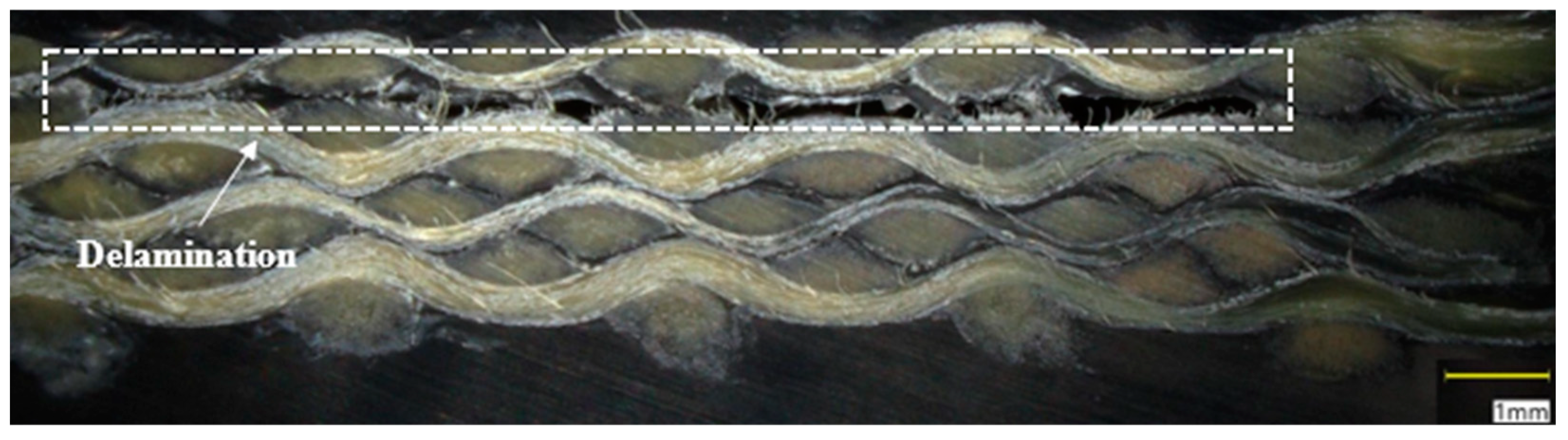 Fibers 12 00038 g018