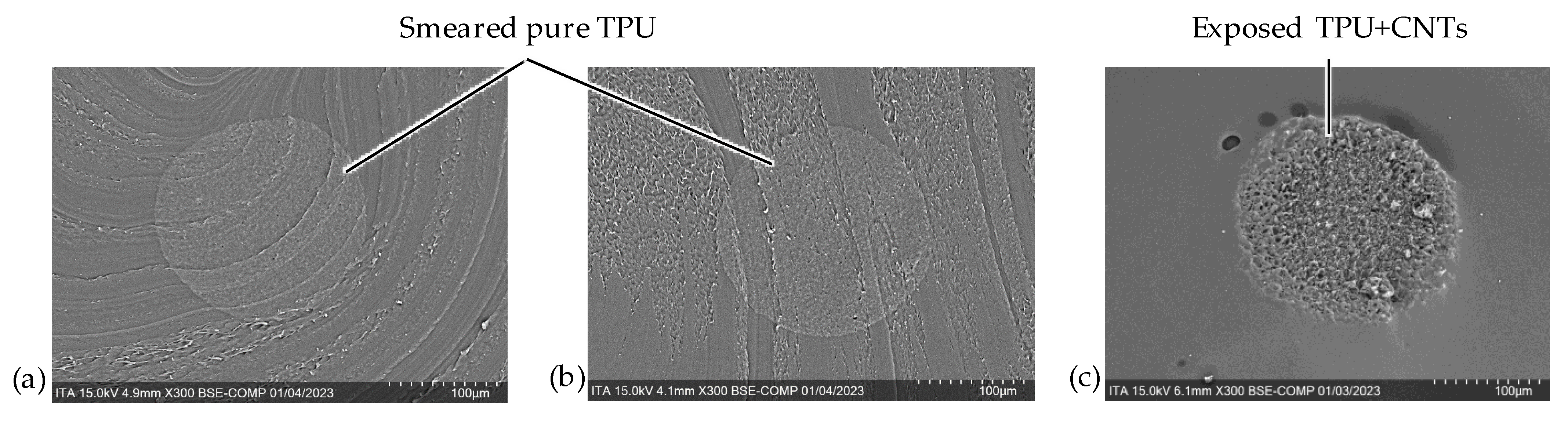 Fibers 12 00041 g012