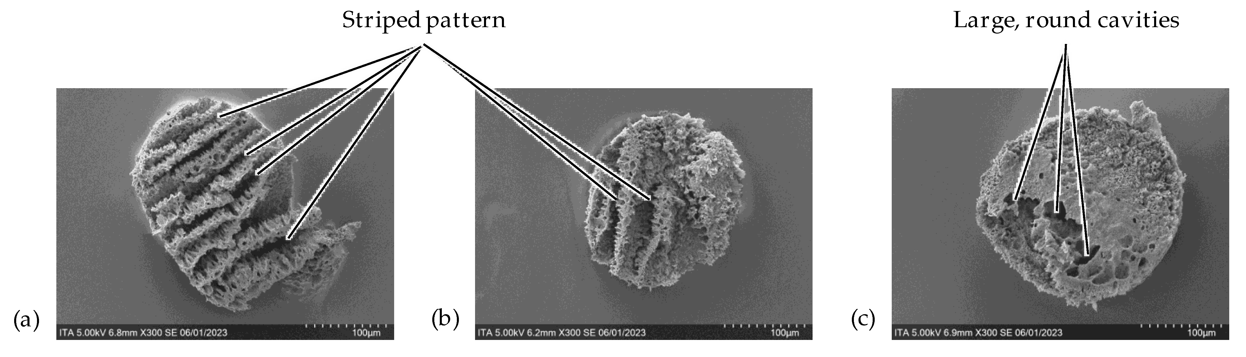 Fibers 12 00041 g013