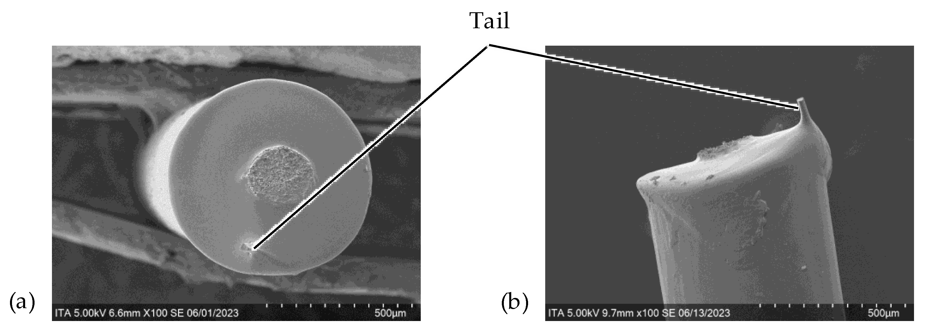 Fibers 12 00041 g014