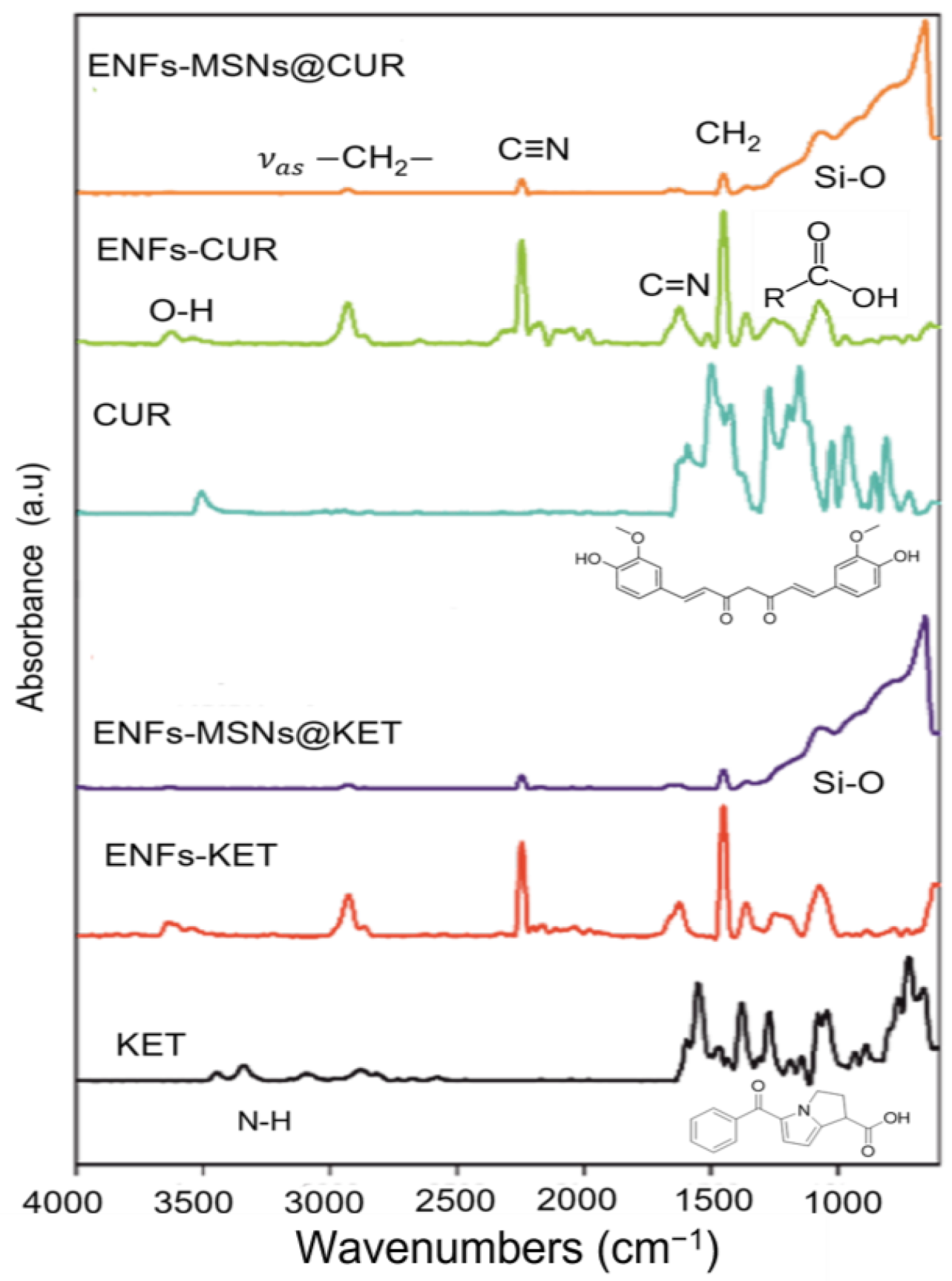 Fibers 12 00048 g002