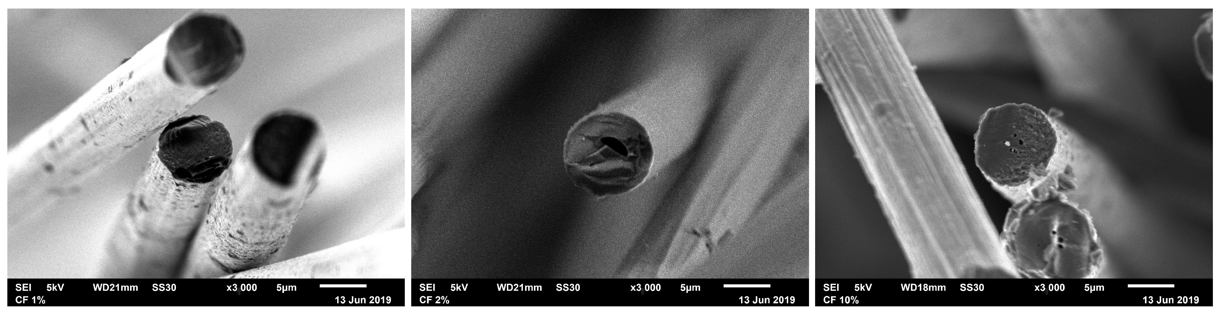 Fibers 12 00050 g001