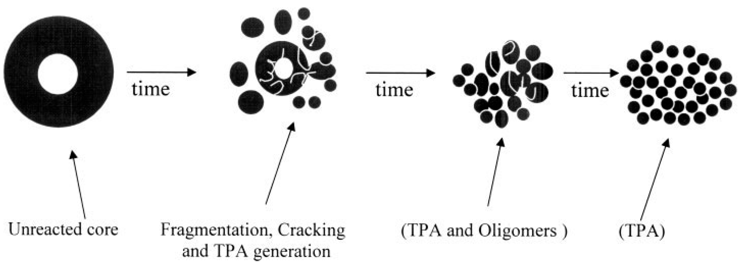 Fibers 12 00051 g004