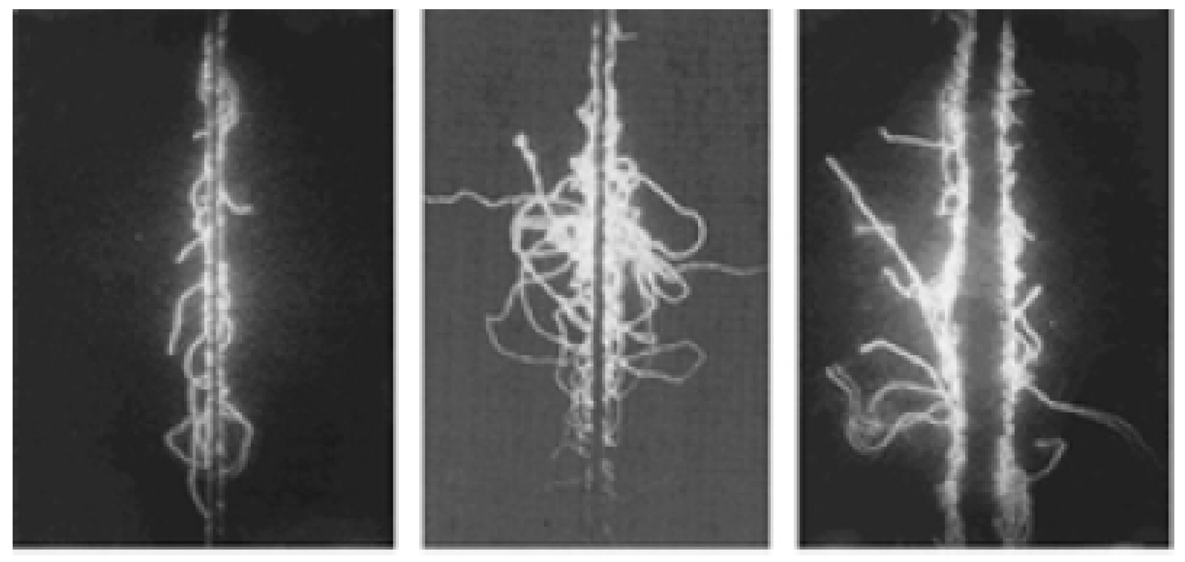 Fibers 12 00051 g005