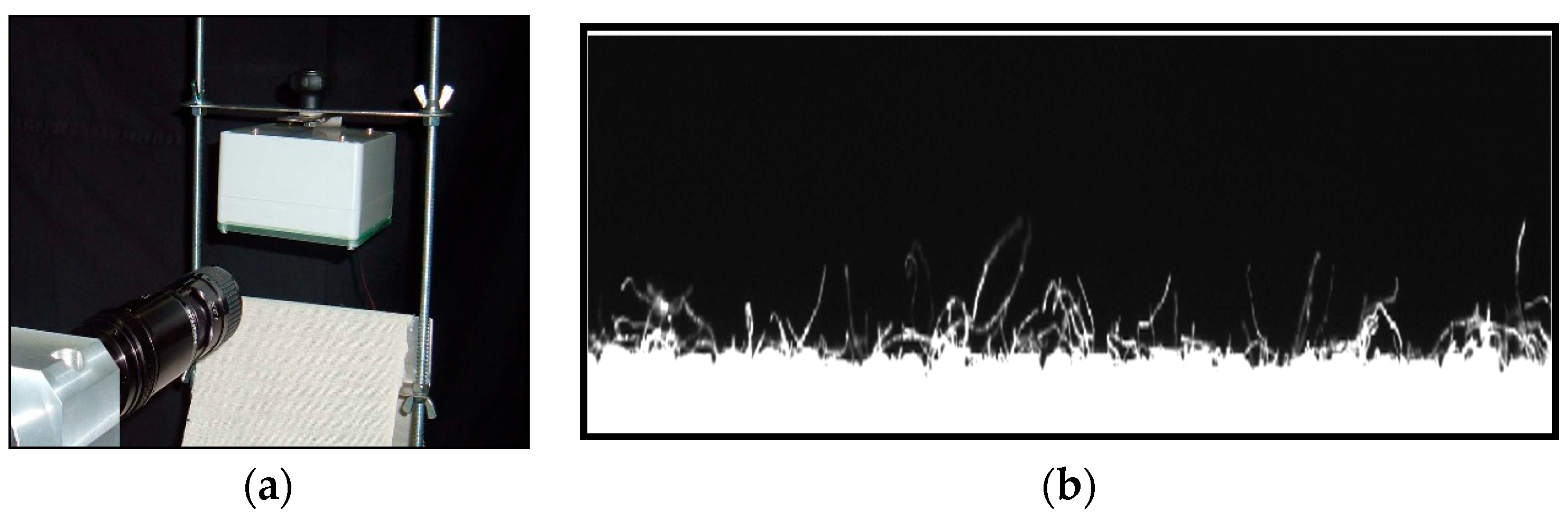 Fibers 12 00051 g006