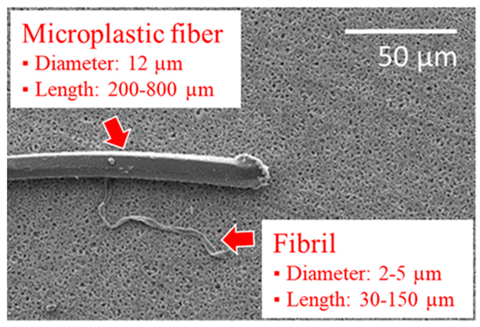 Fibers 12 00051 g008
