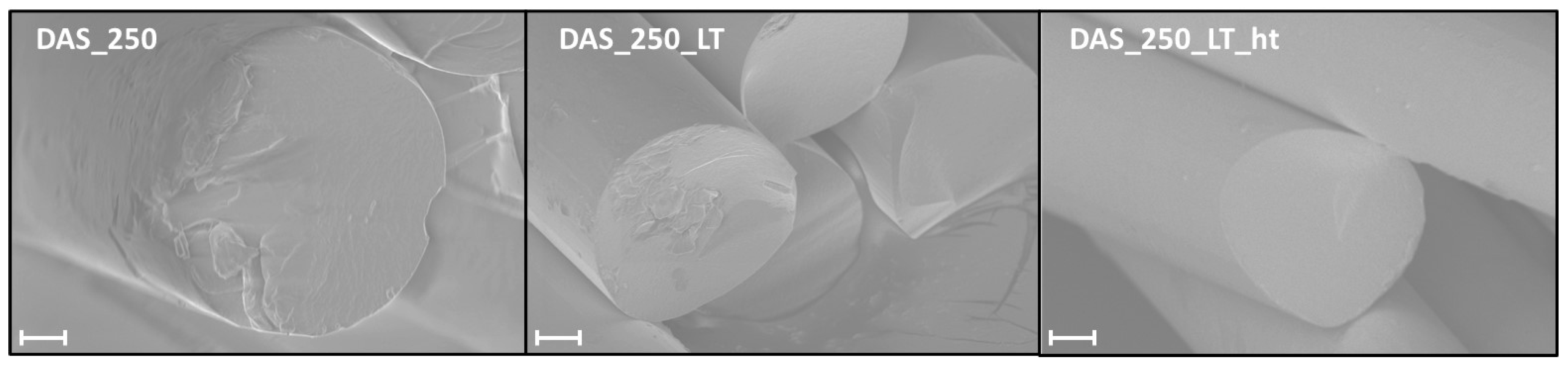 Fibers 12 00055 g002