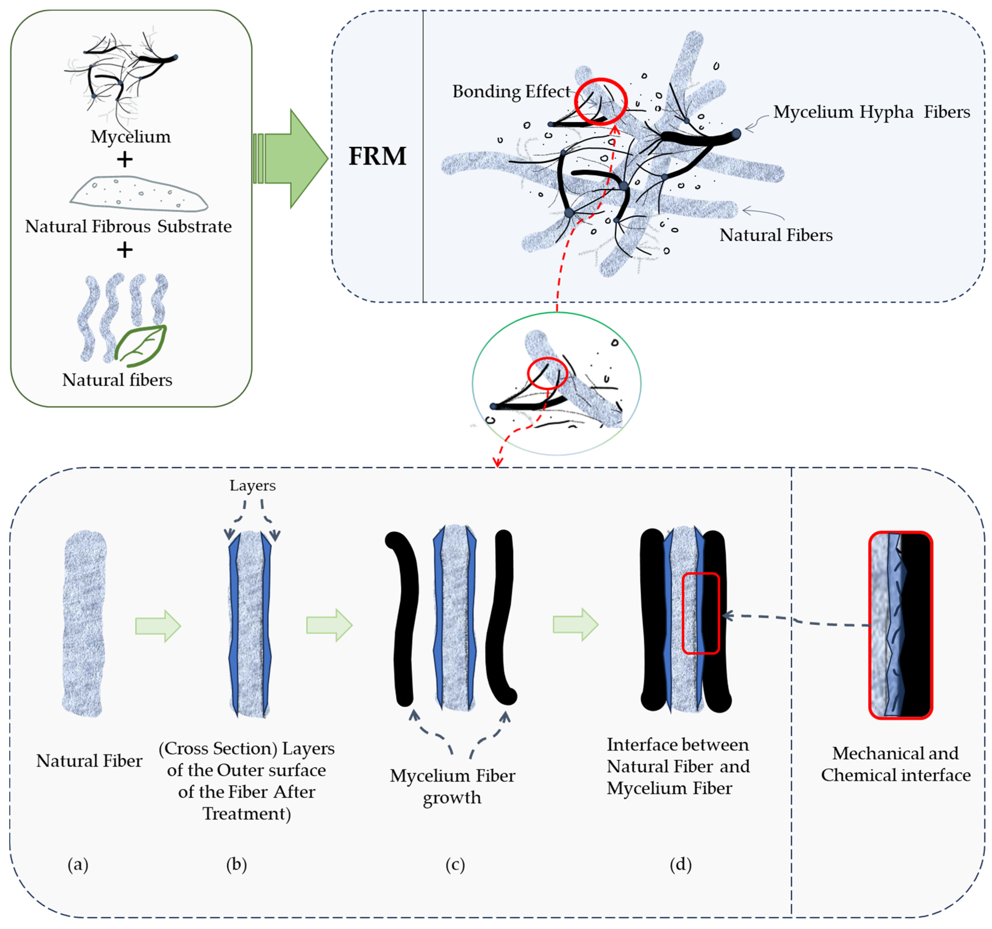 Fibers 12 00057 g001