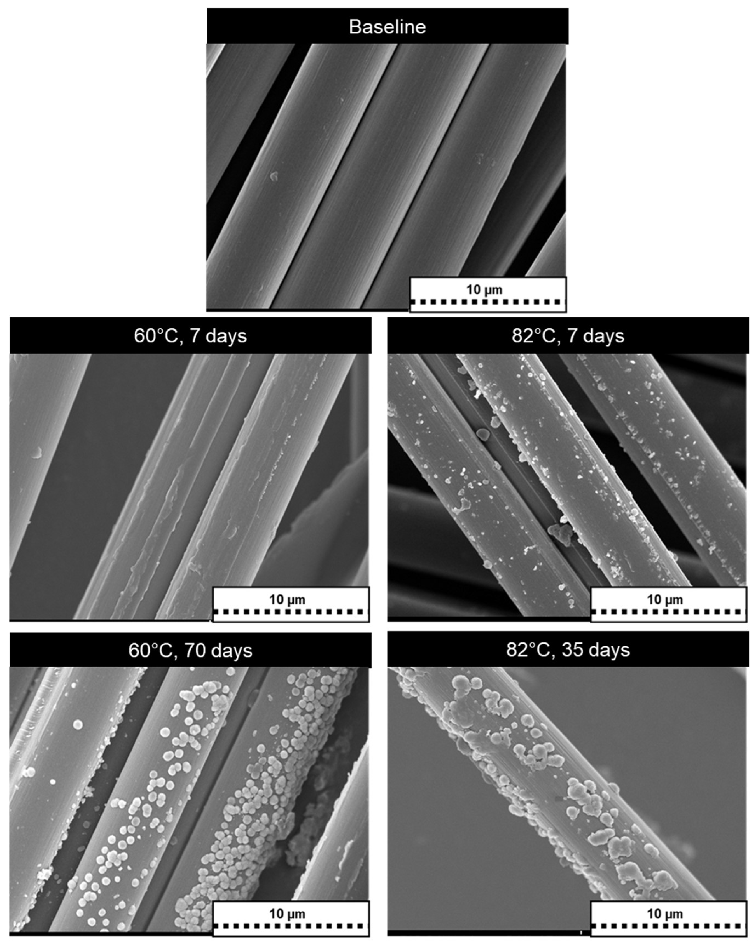 Fibers 12 00058 g017