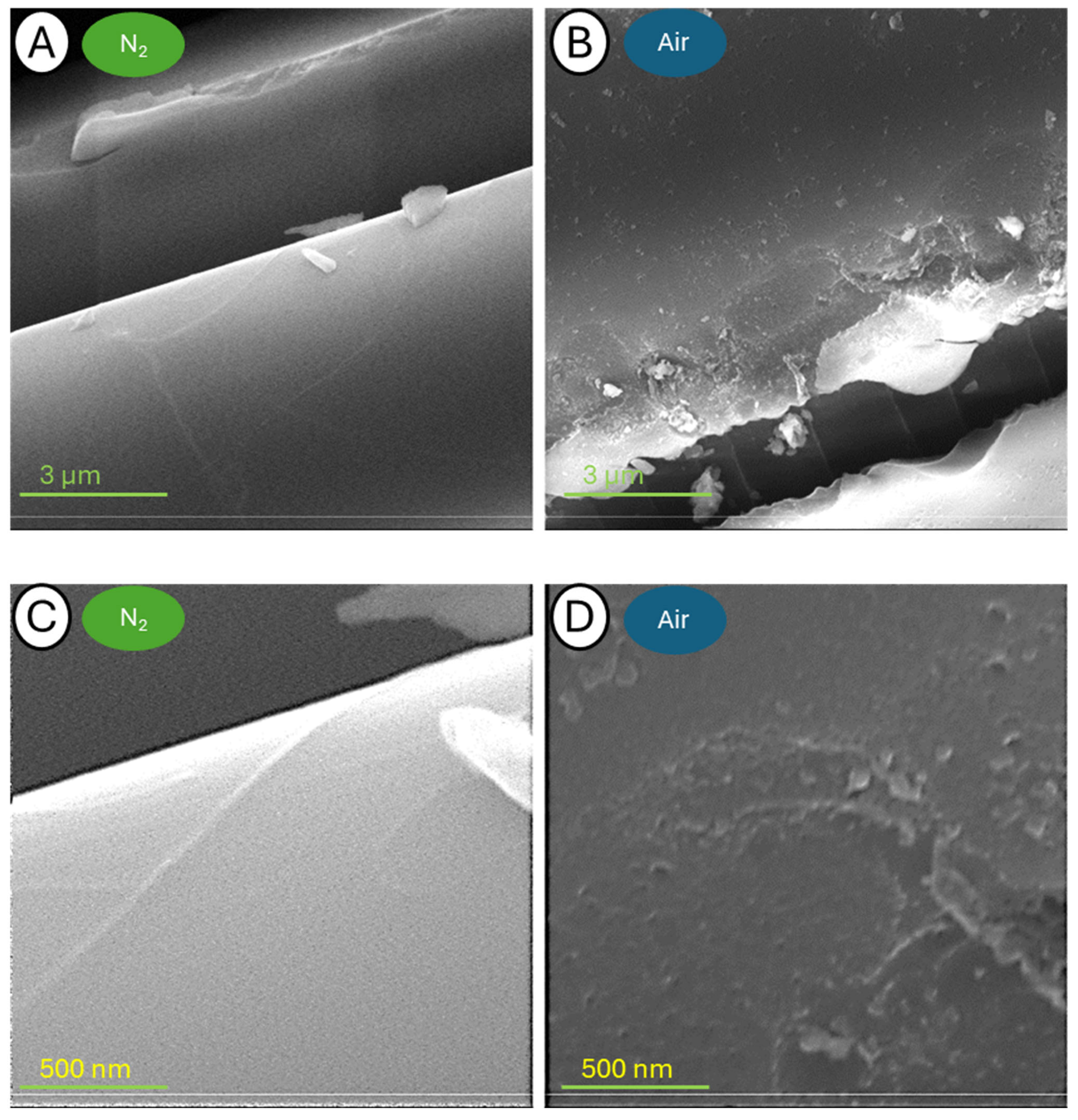 Fibers 12 00068 g014