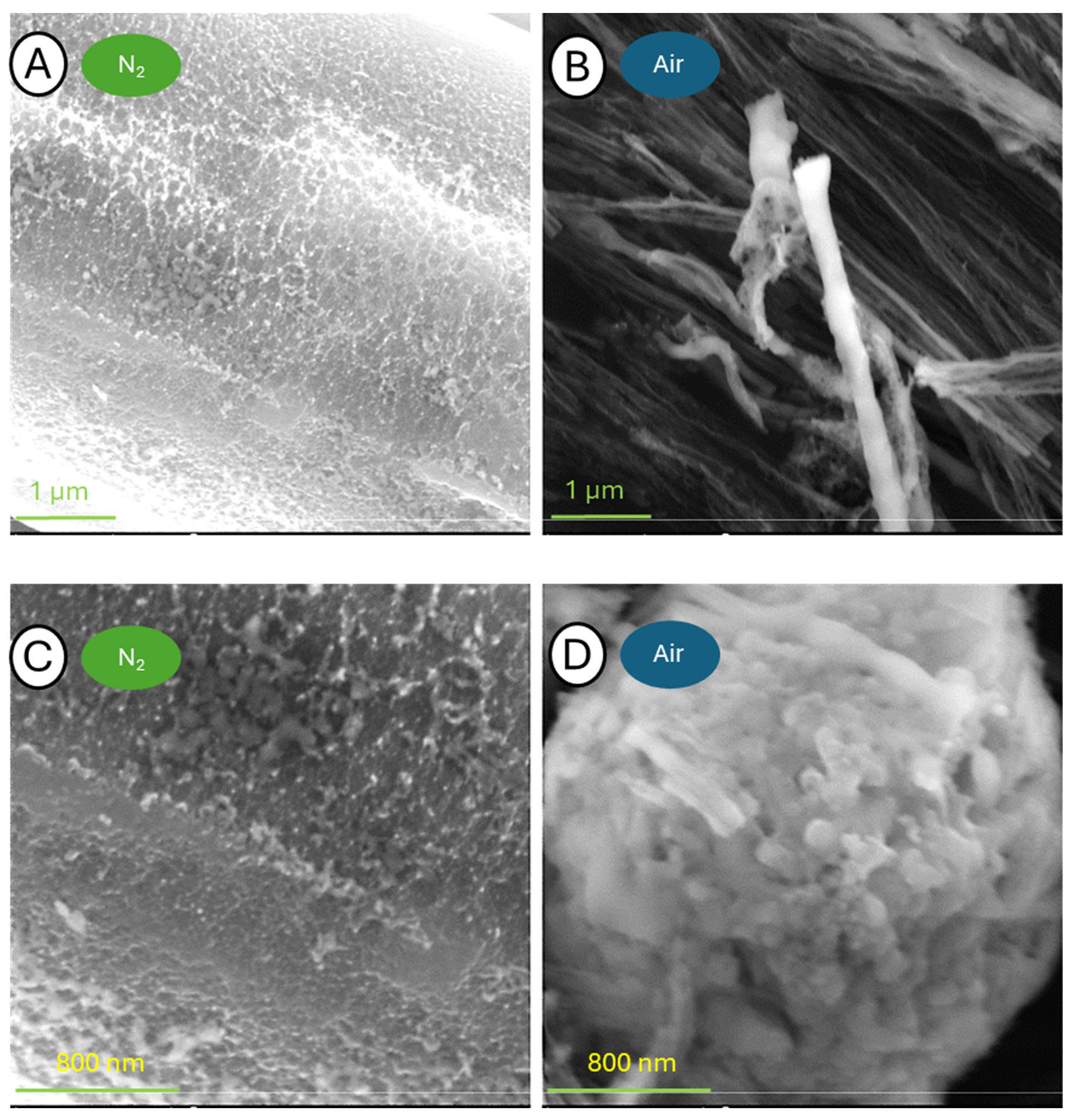 Fibers 12 00068 g019