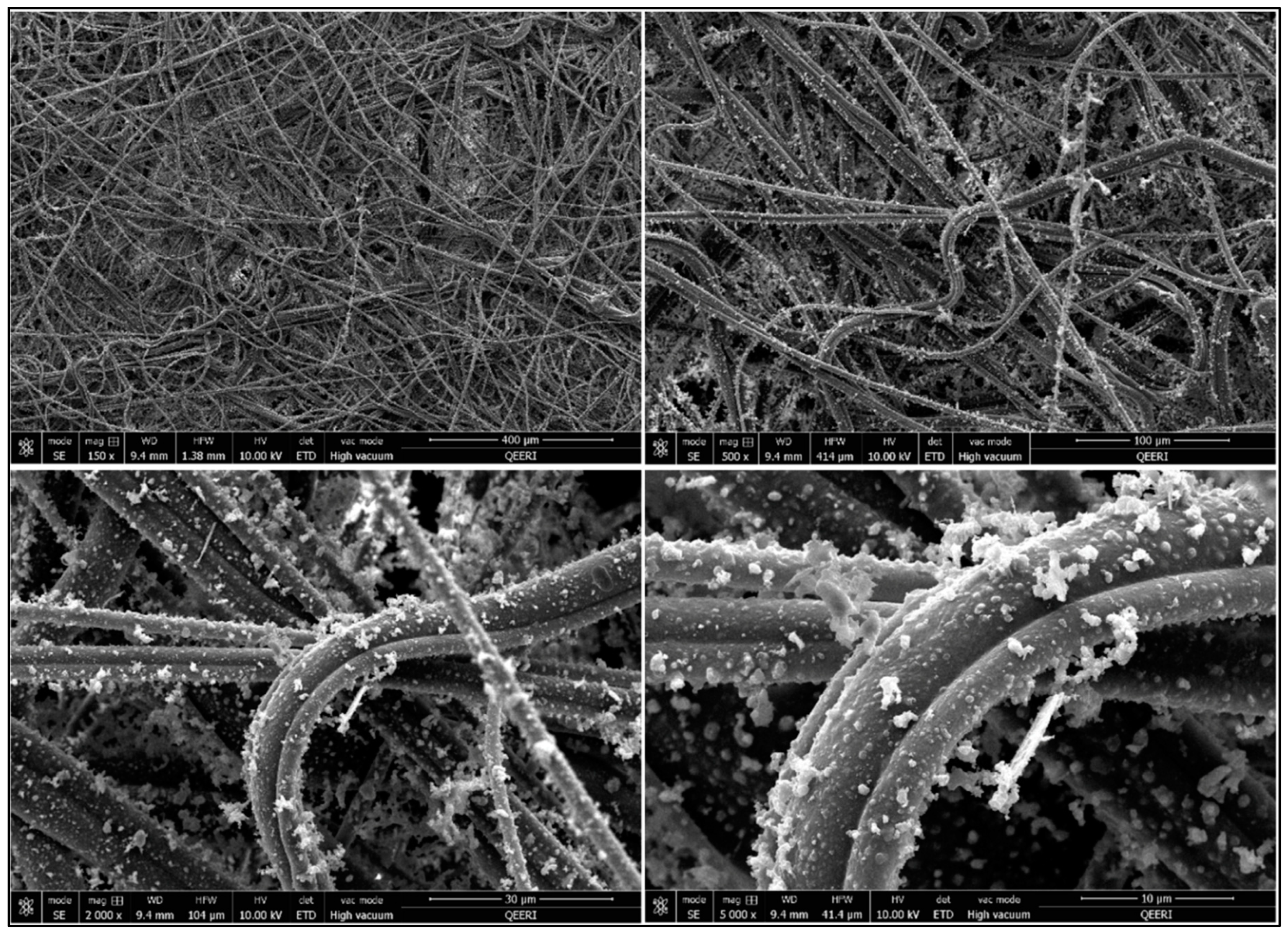 Fibers 12 00071 g002