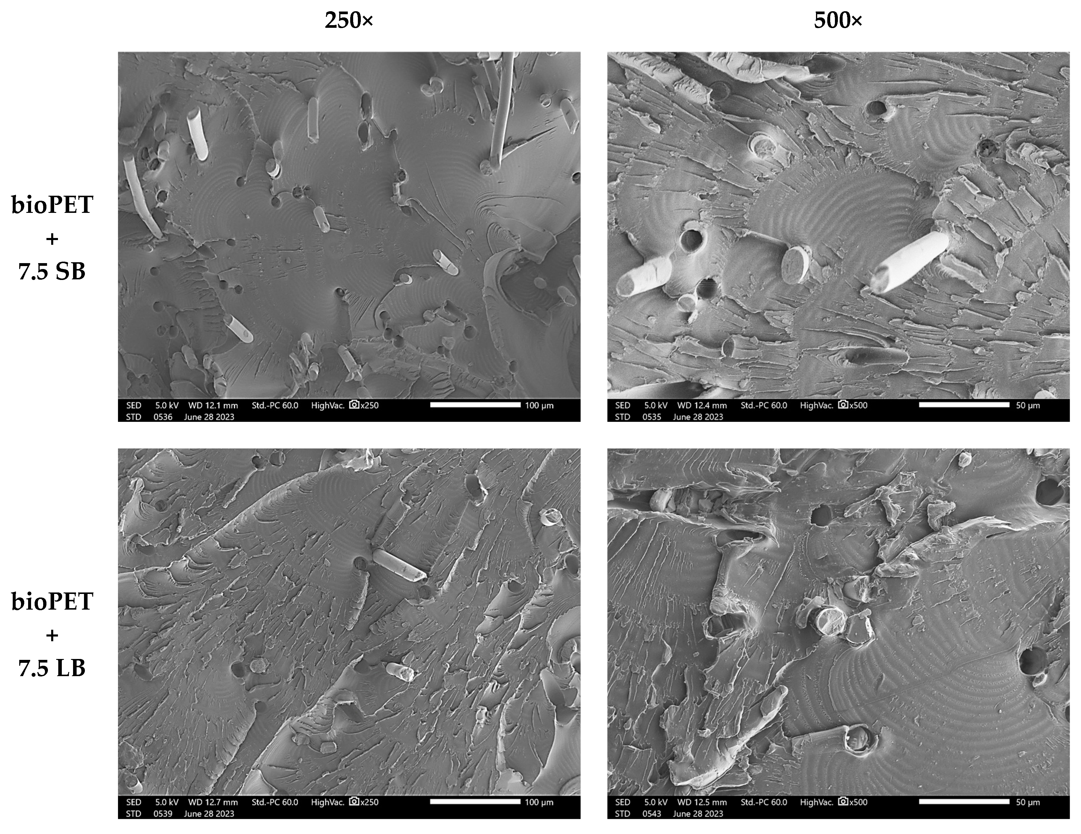 Fibers 12 00073 g001a