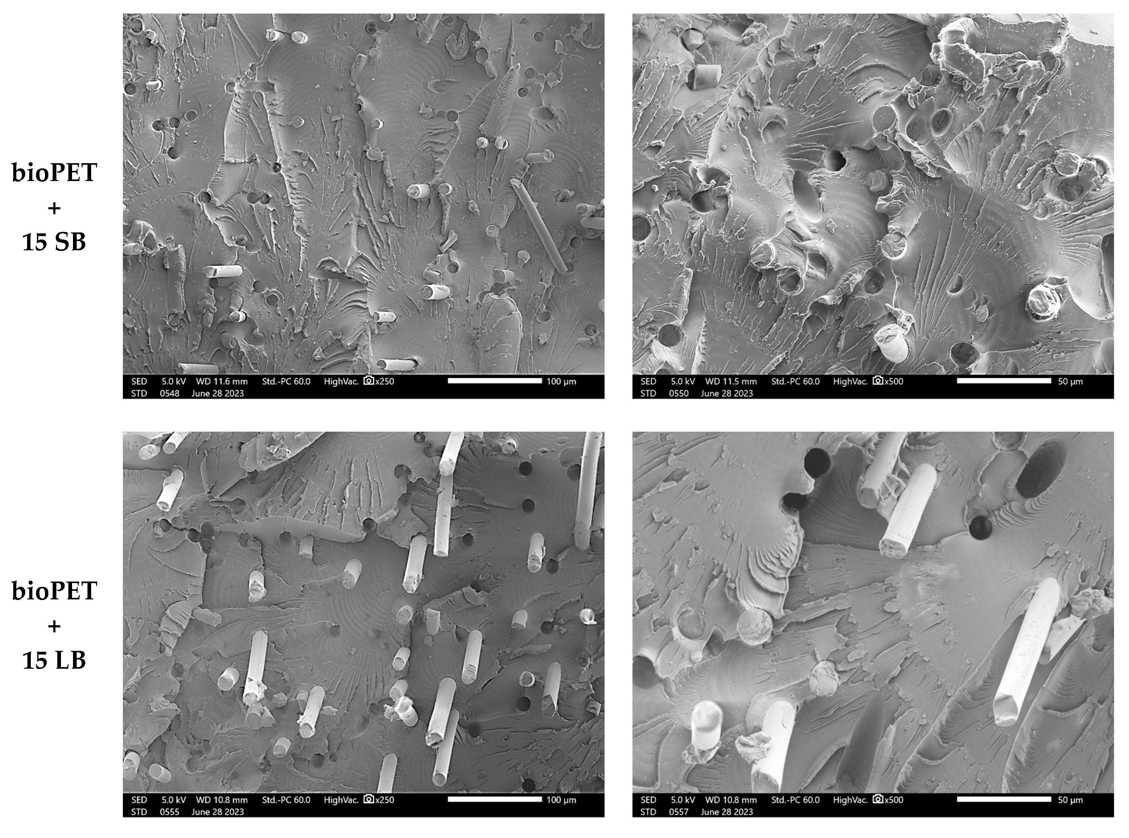 Fibers 12 00073 g001b