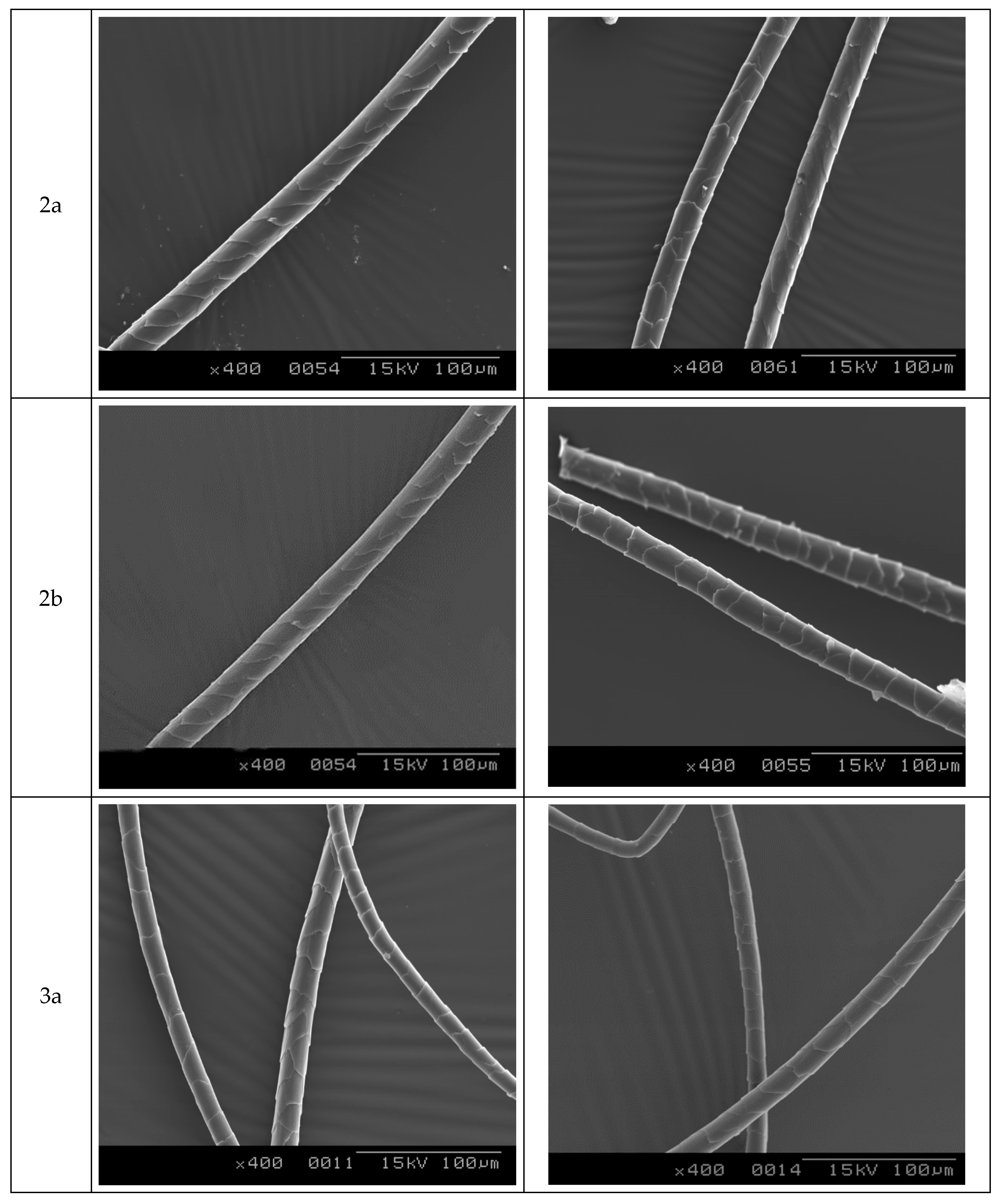Fibers 12 00084 g004b