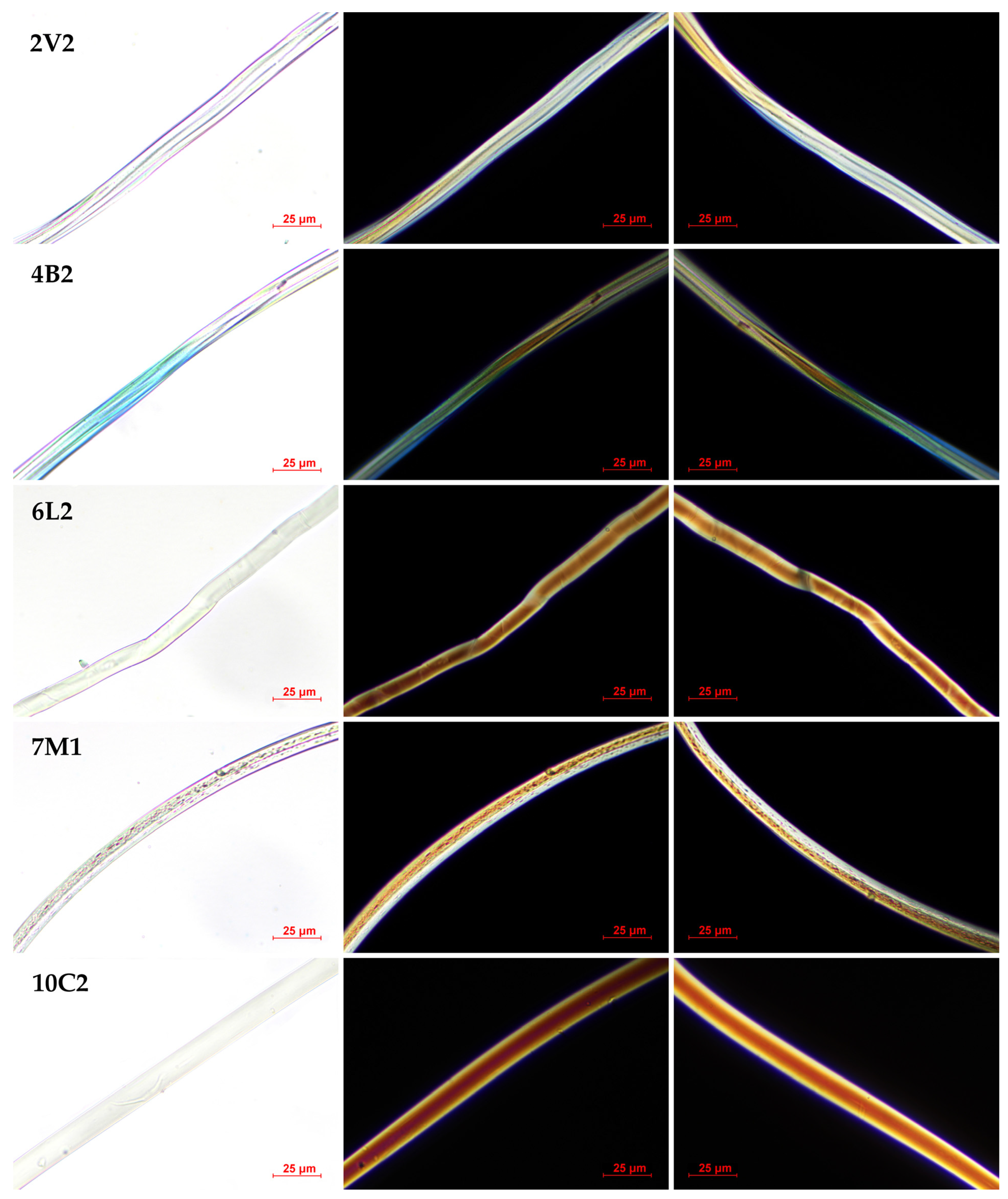 Fibers 12 00085 g001