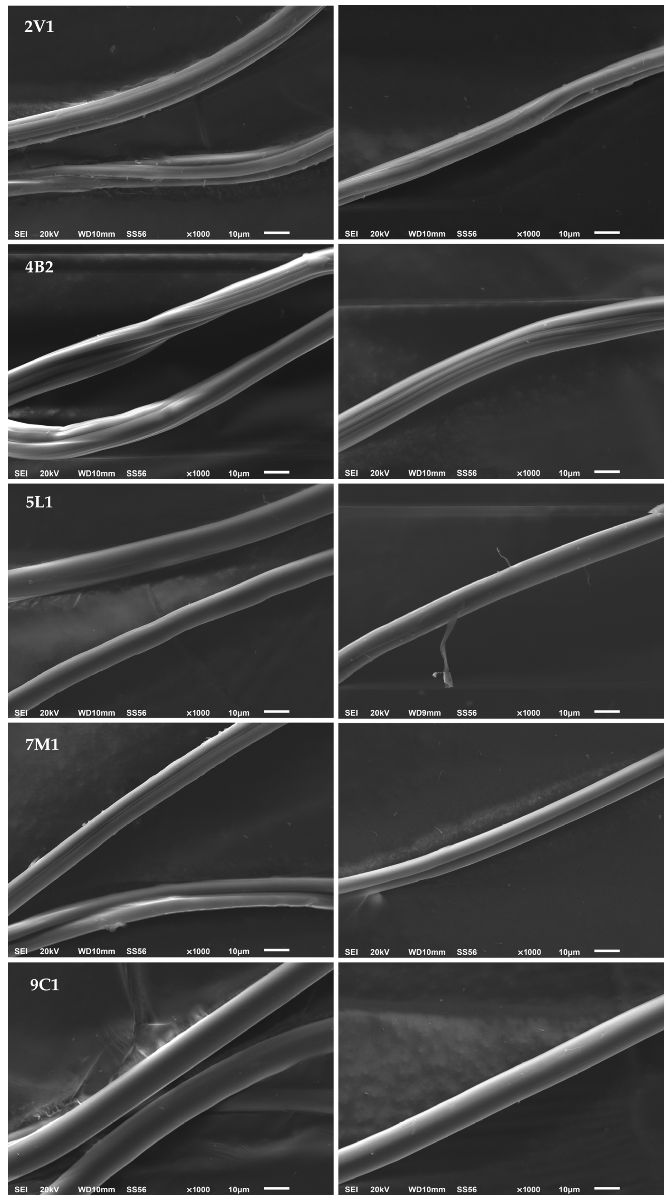 Fibers 12 00085 g002