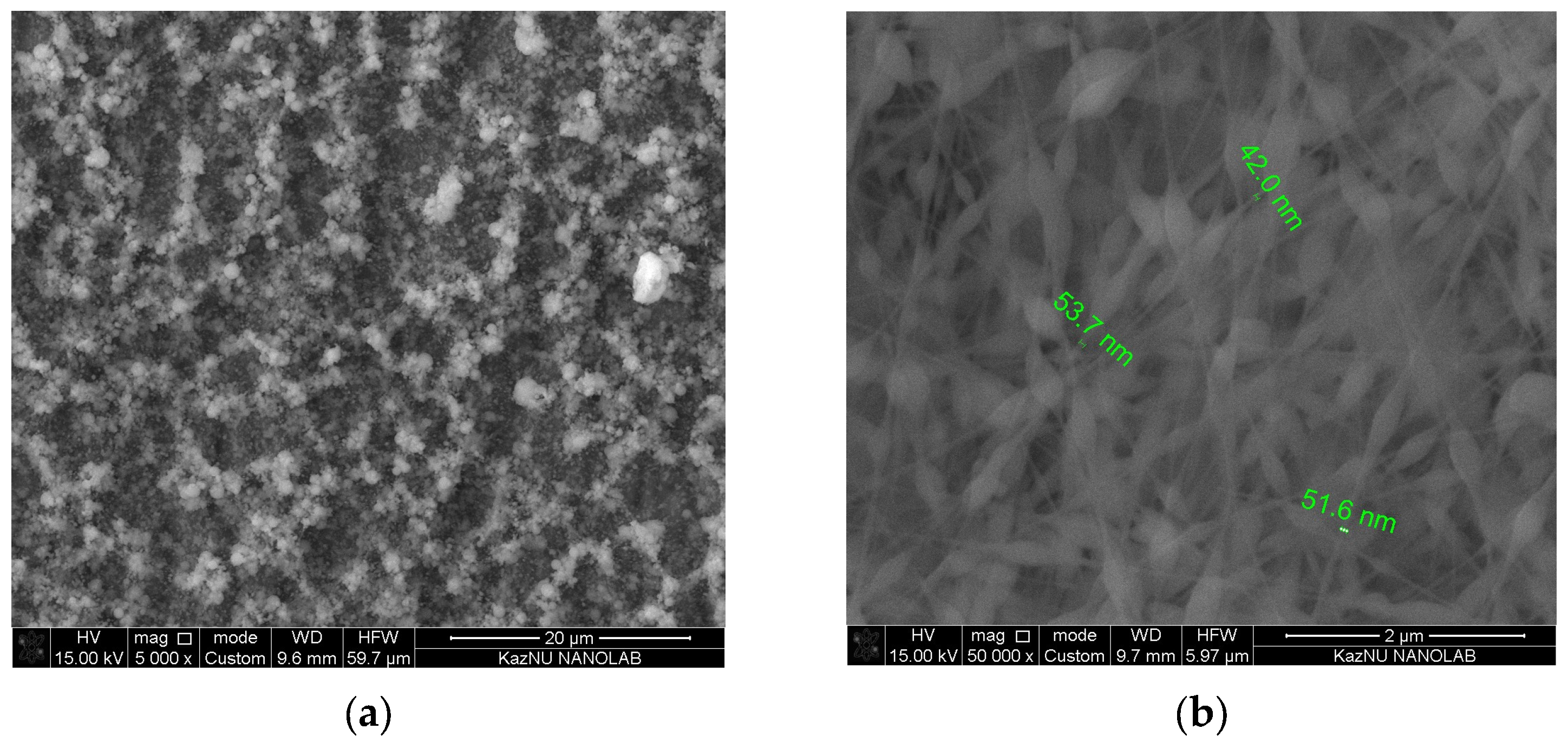 Fibers 12 00087 g002a