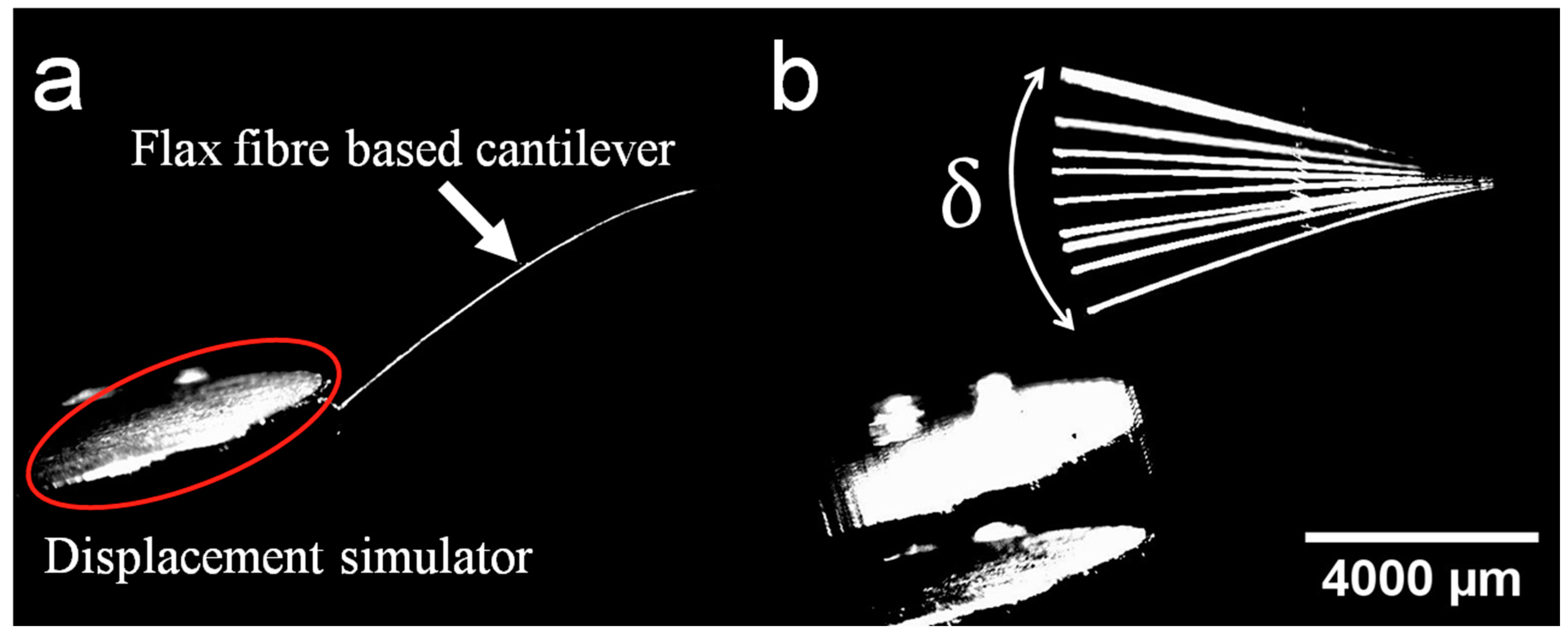 Fibers 12 00091 g002