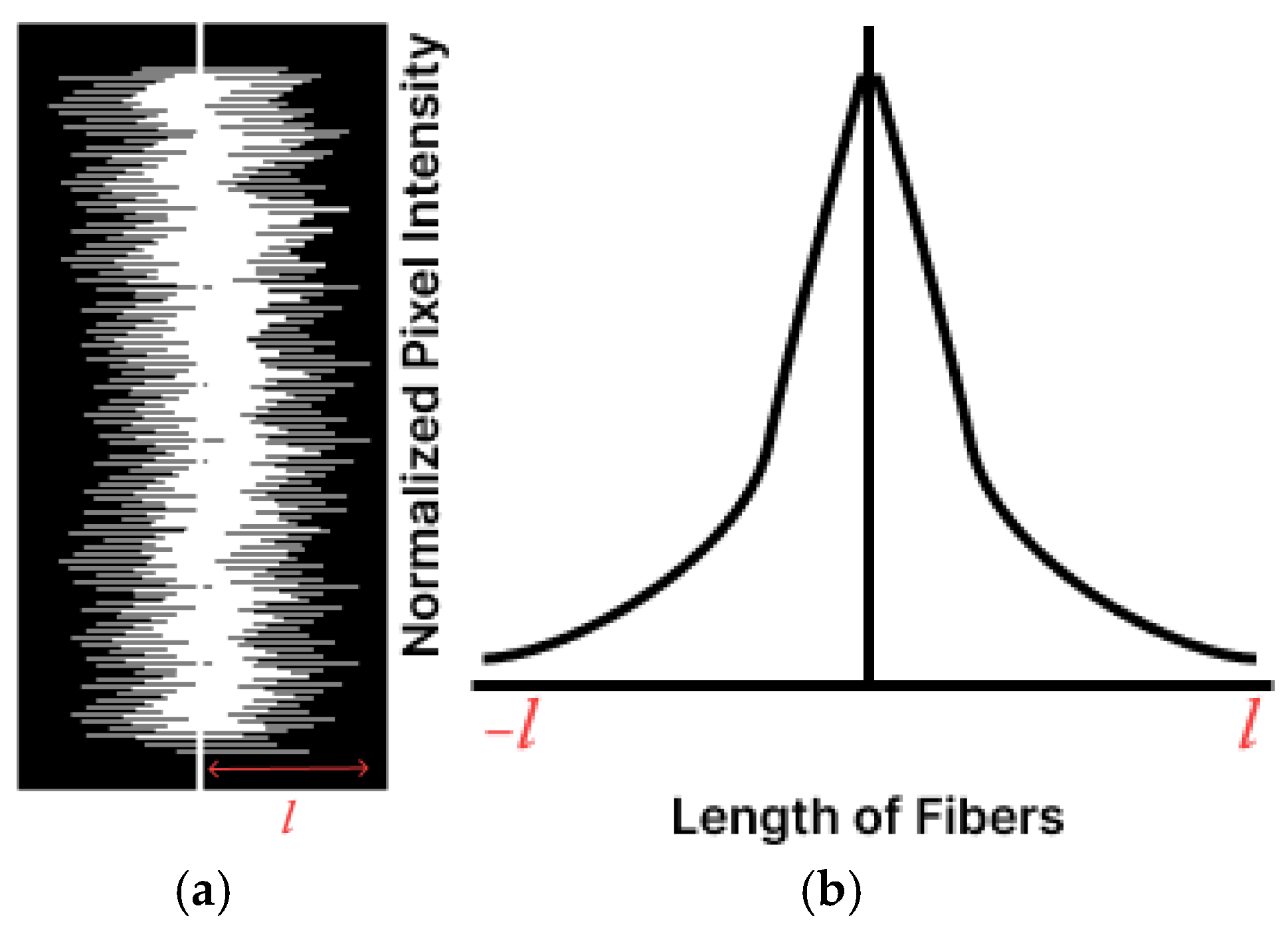 Fibers 12 00093 g008