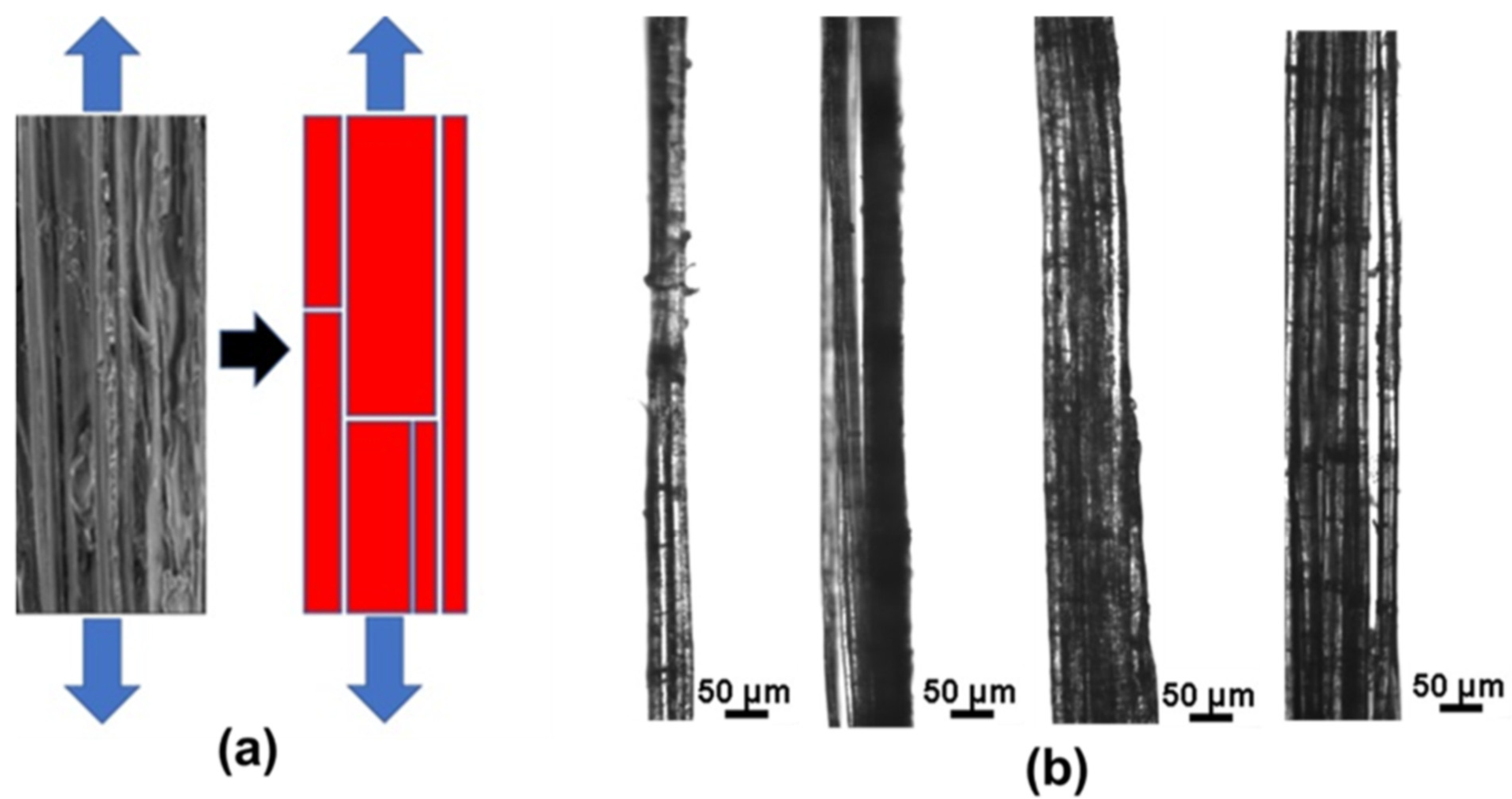 Fibers 12 00094 g002