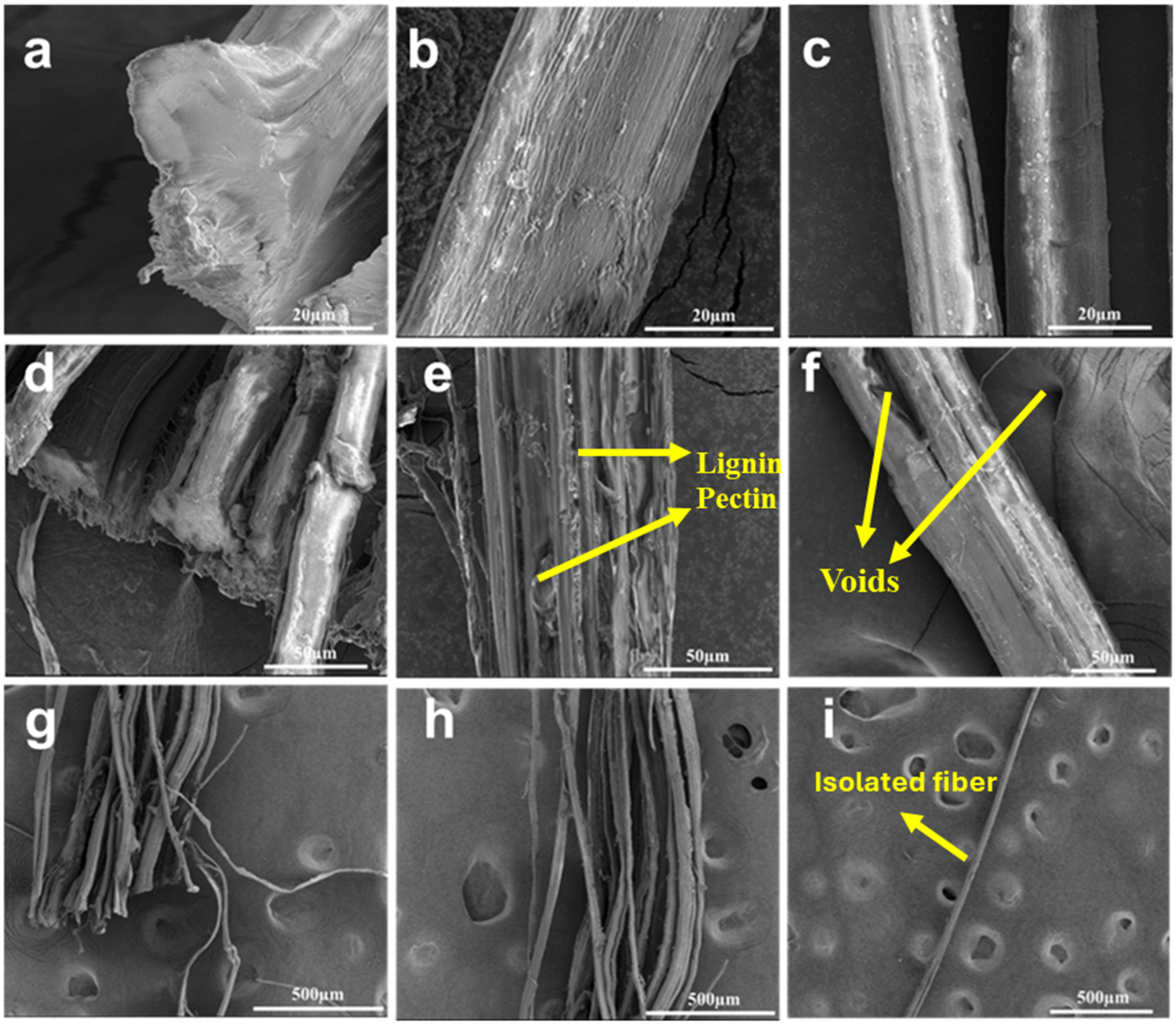 Fibers 12 00094 g003