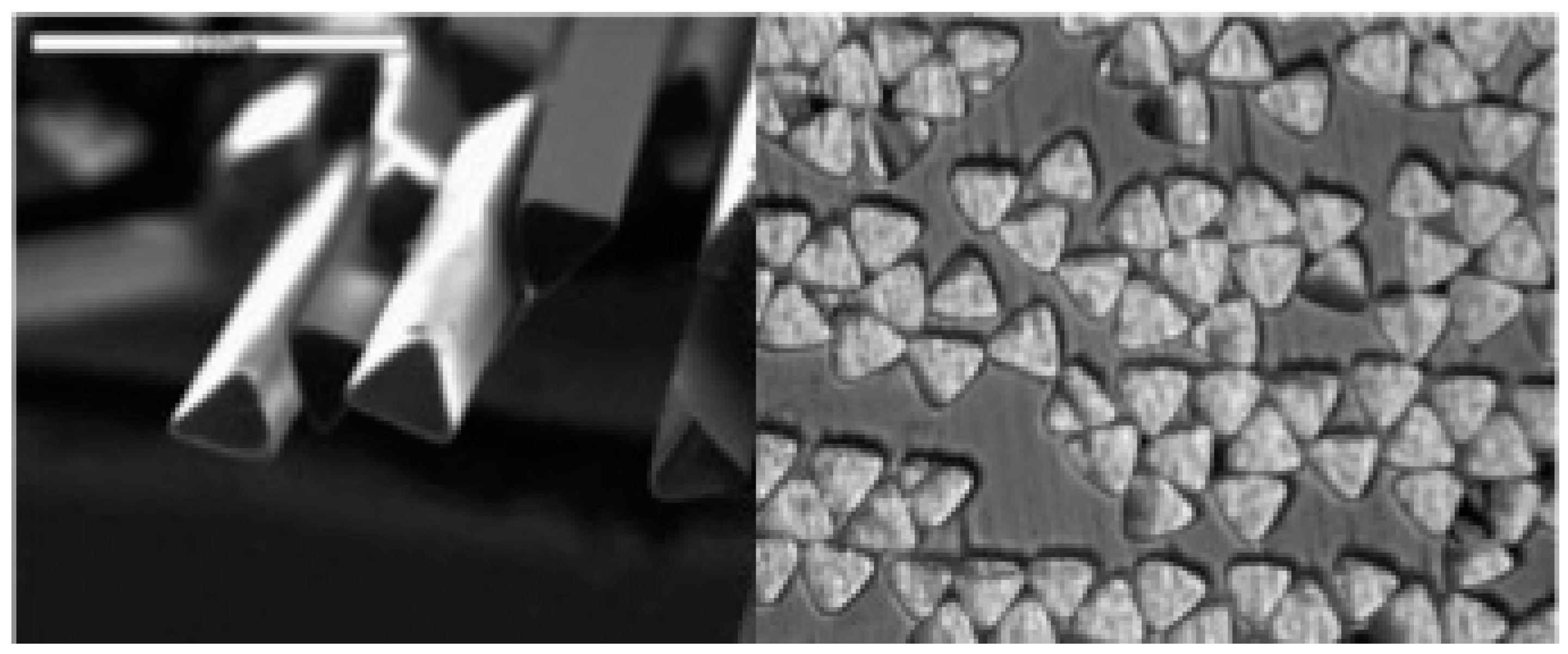 Fibers 12 00098 g003