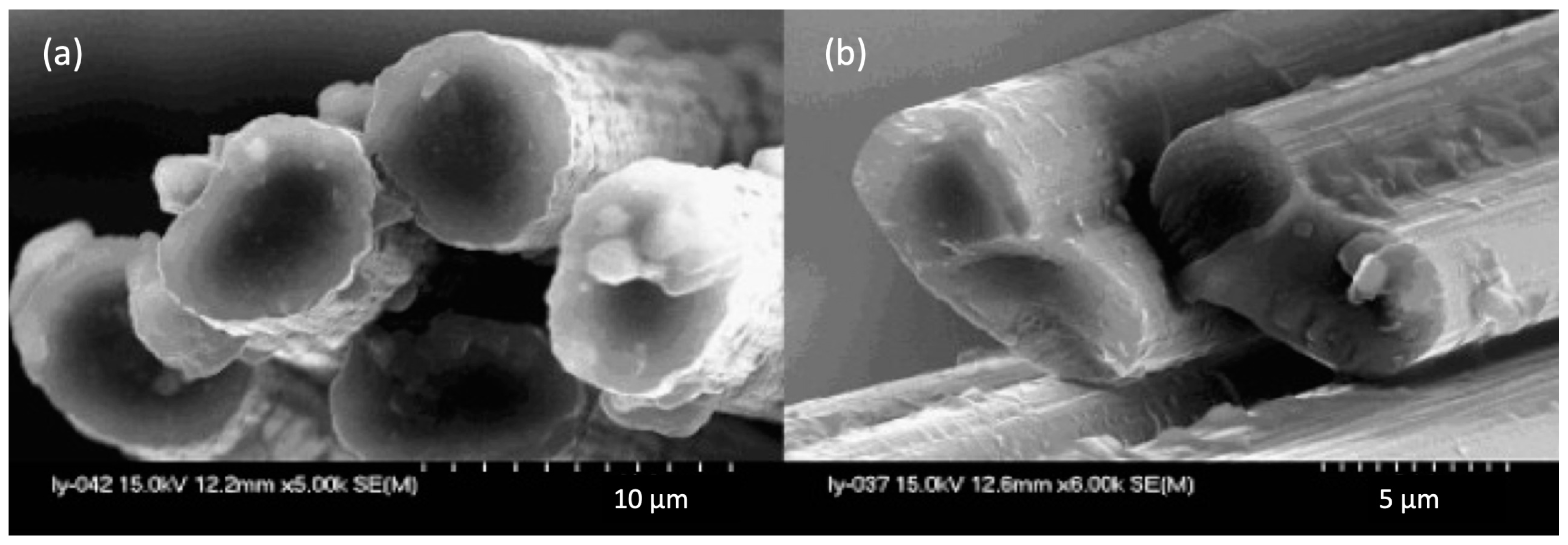 Fibers 12 00098 g005