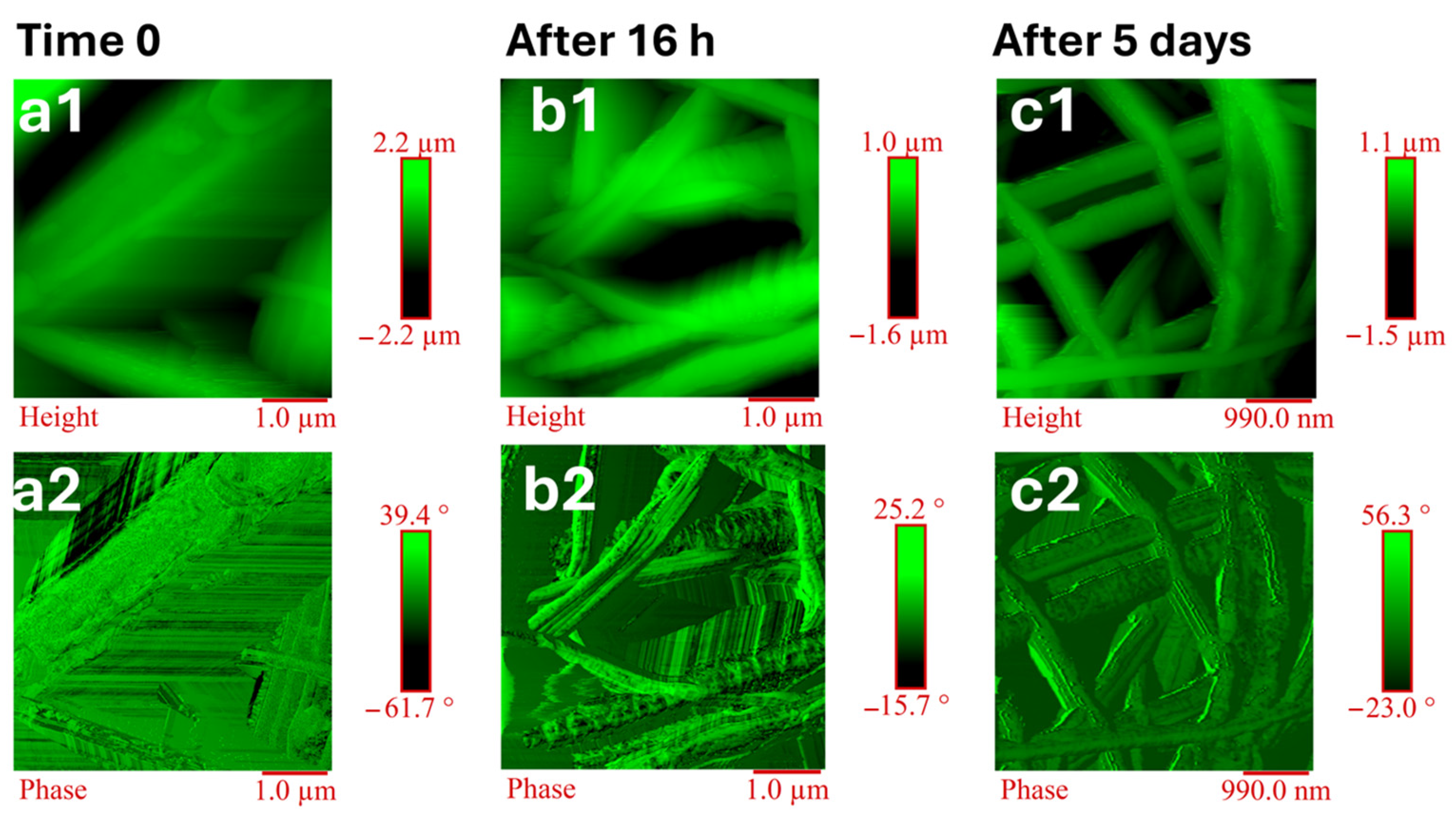 Fibers 12 00101 g011