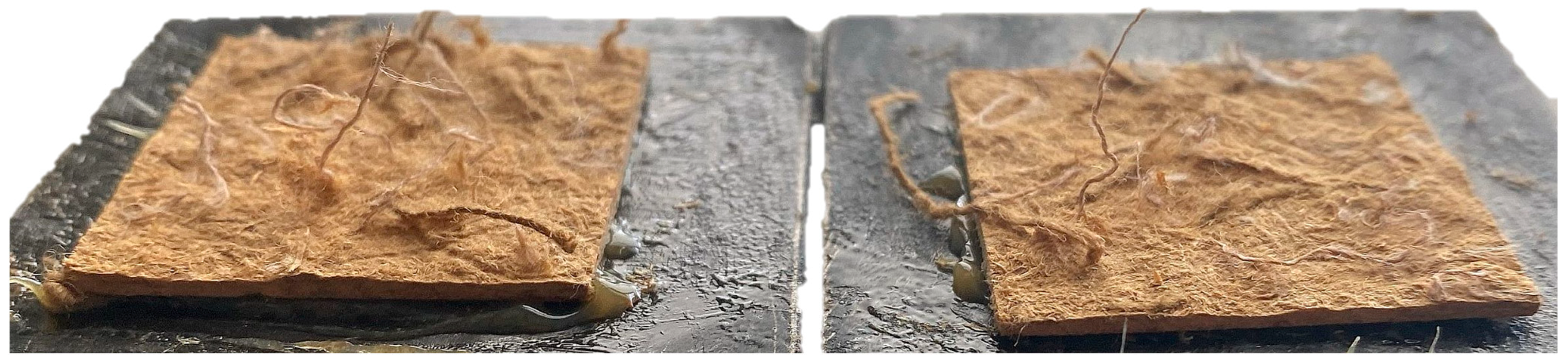 Fibers 12 00105 g007