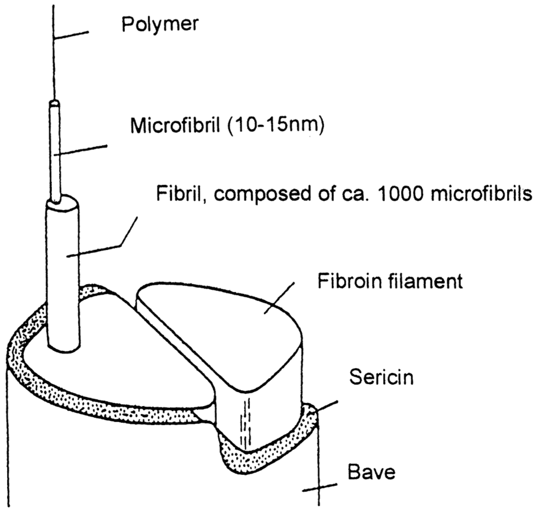Fibers 13 00006 g002