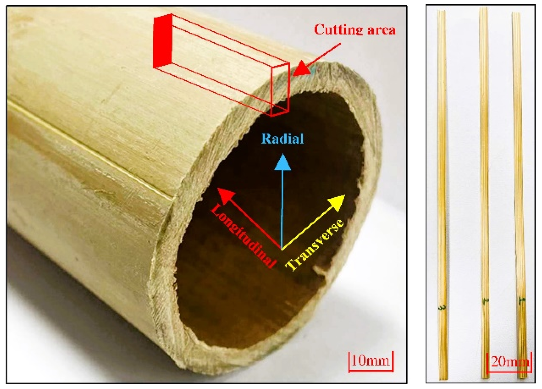 Fibers 13 00018 g001