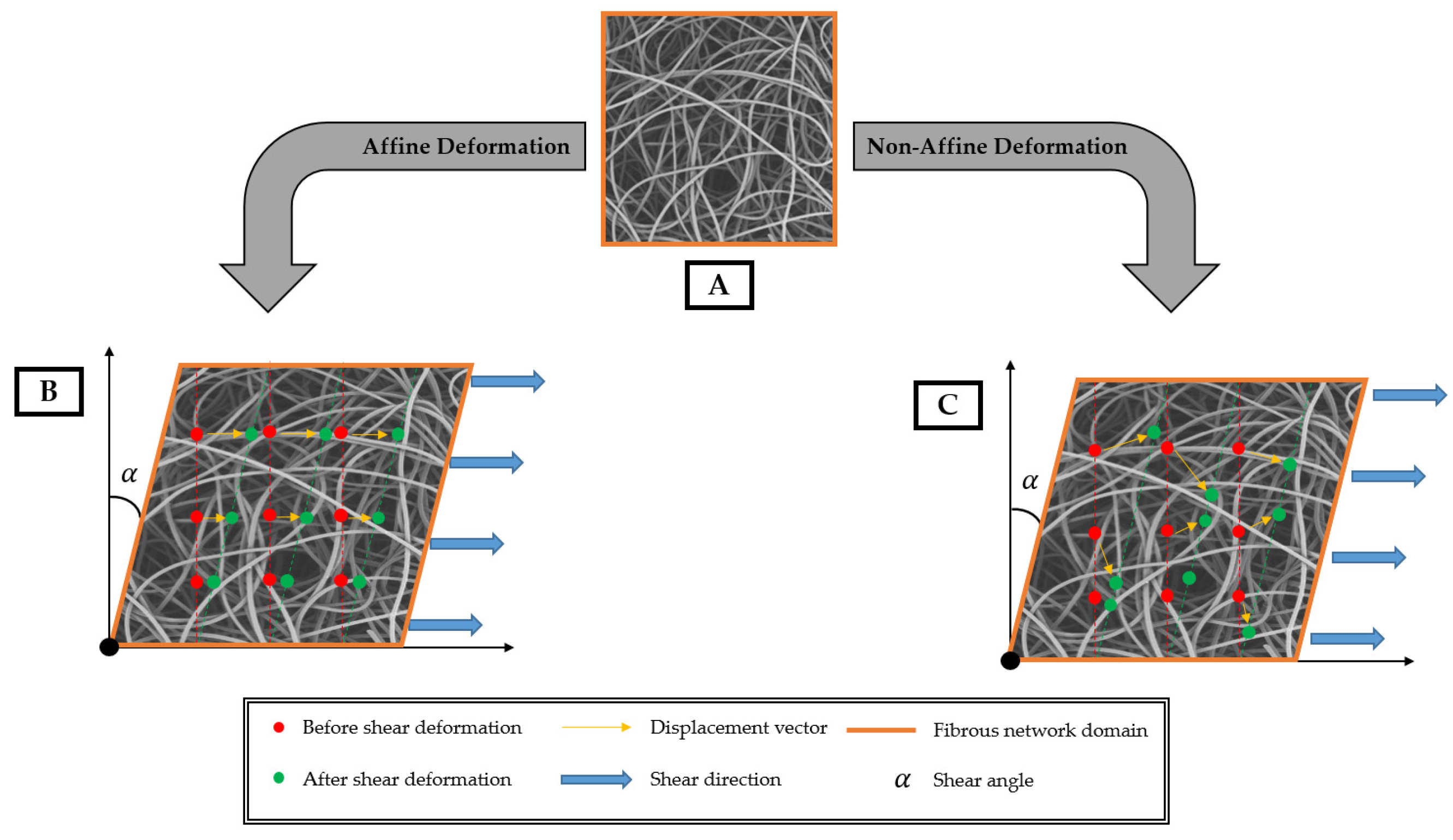 Fibers 13 00027 g011 Fibers 13 00027 g011