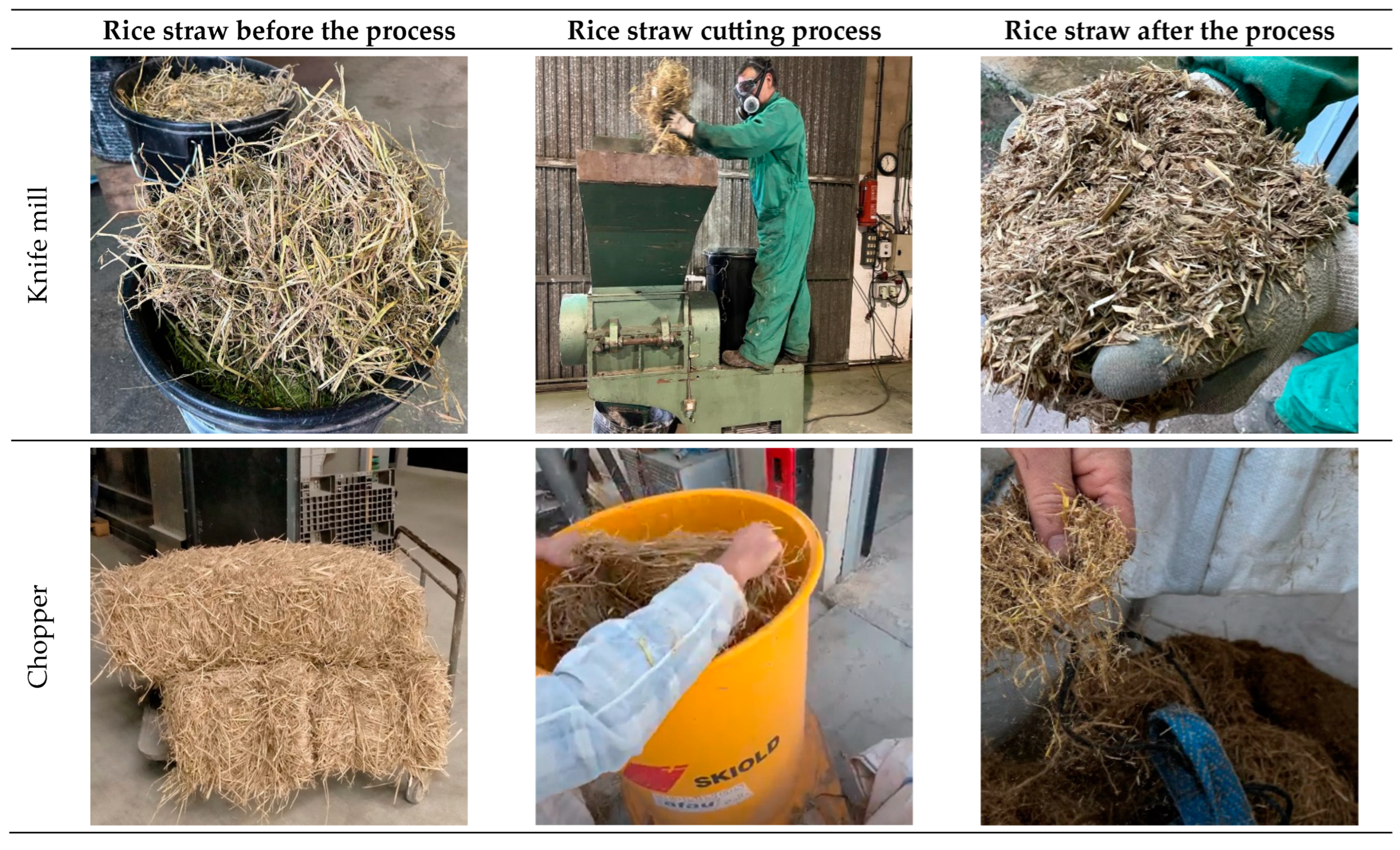 Fibers 13 00028 g001