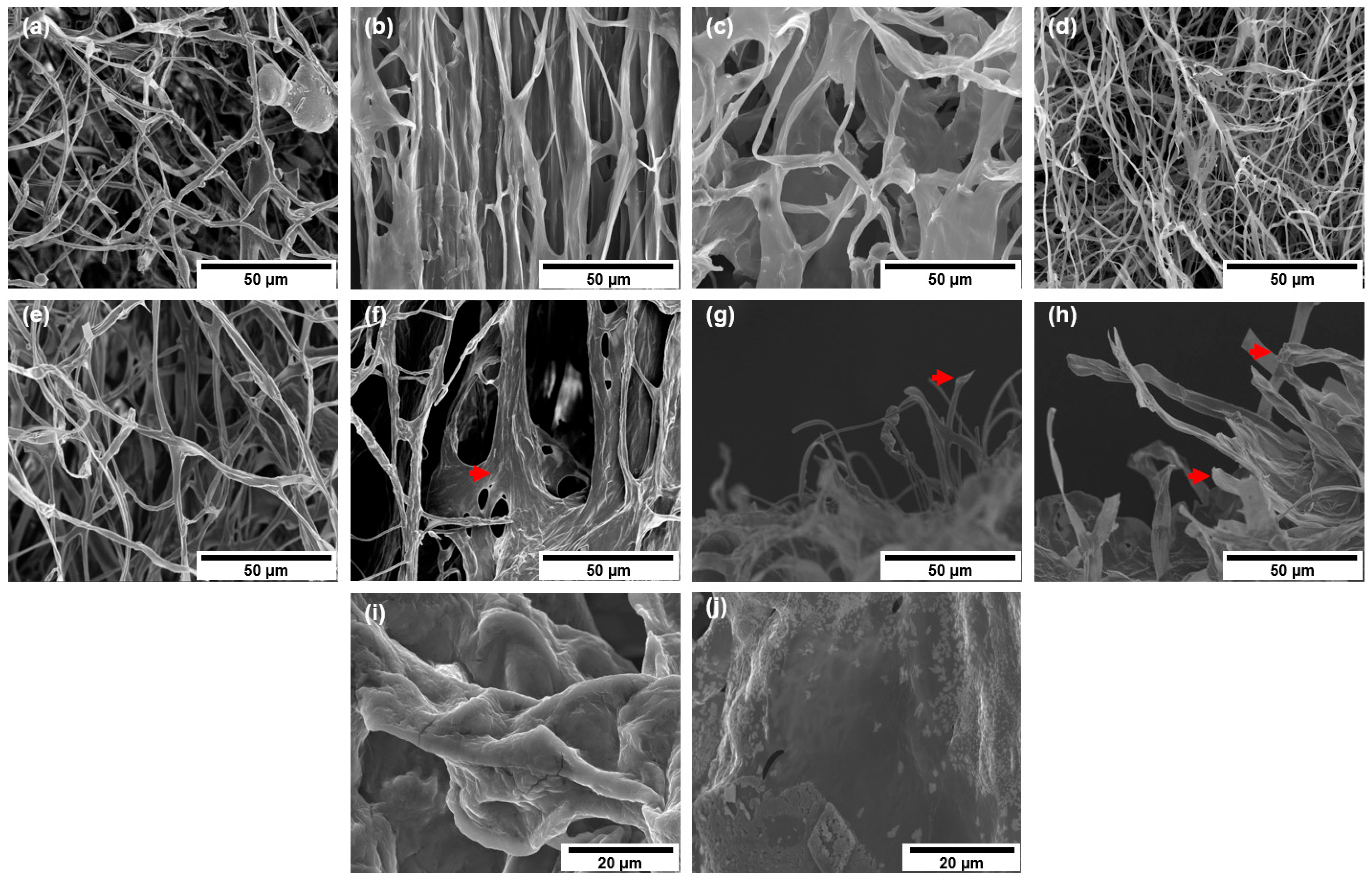 Fibers 13 00030 g001 Fibers 13 00030 g001