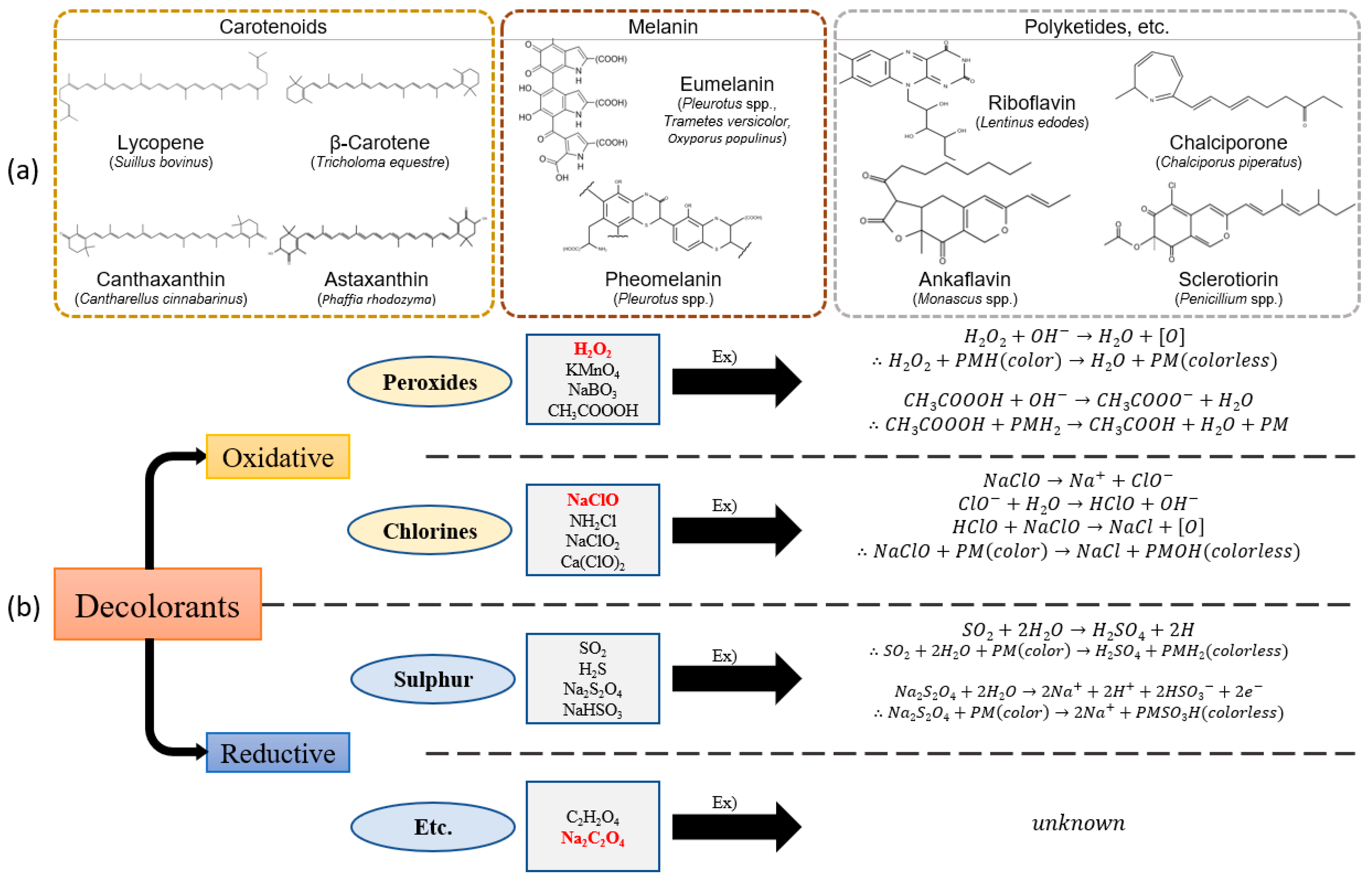 Fibers 13 00030 g005 Fibers 13 00030 g005