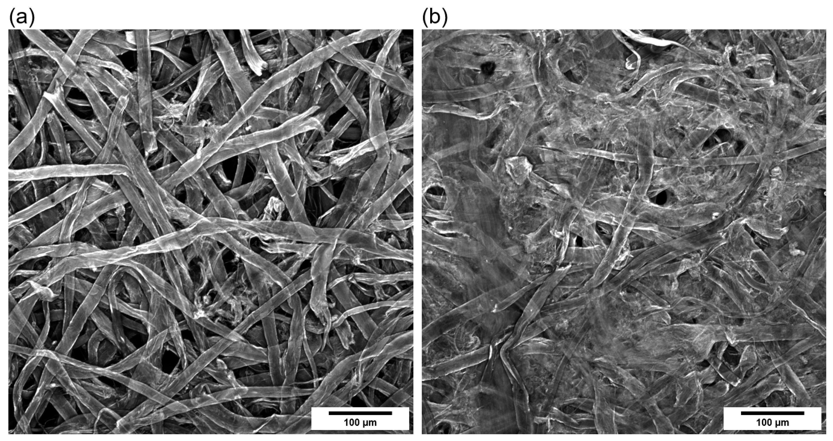 Fibers 13 00030 g008 Fibers 13 00030 g008