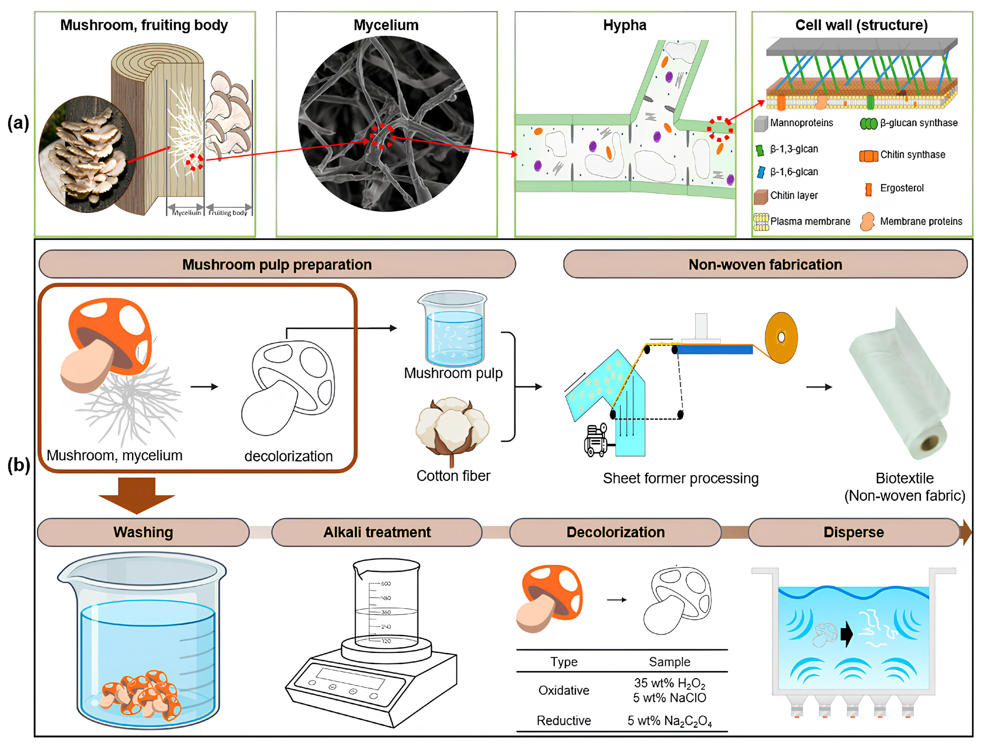 Fibers 13 00030 sch001 Fibers 13 00030 sch001