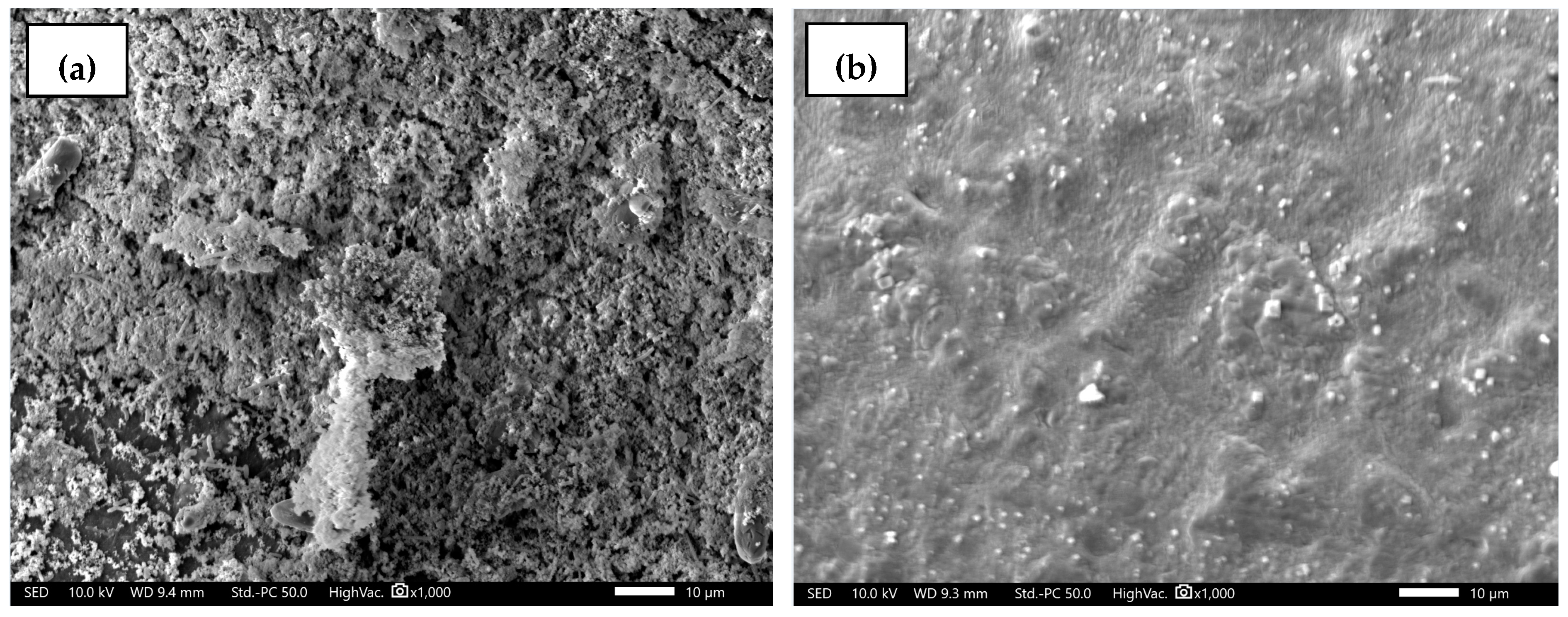 Fibers 13 00031 g009