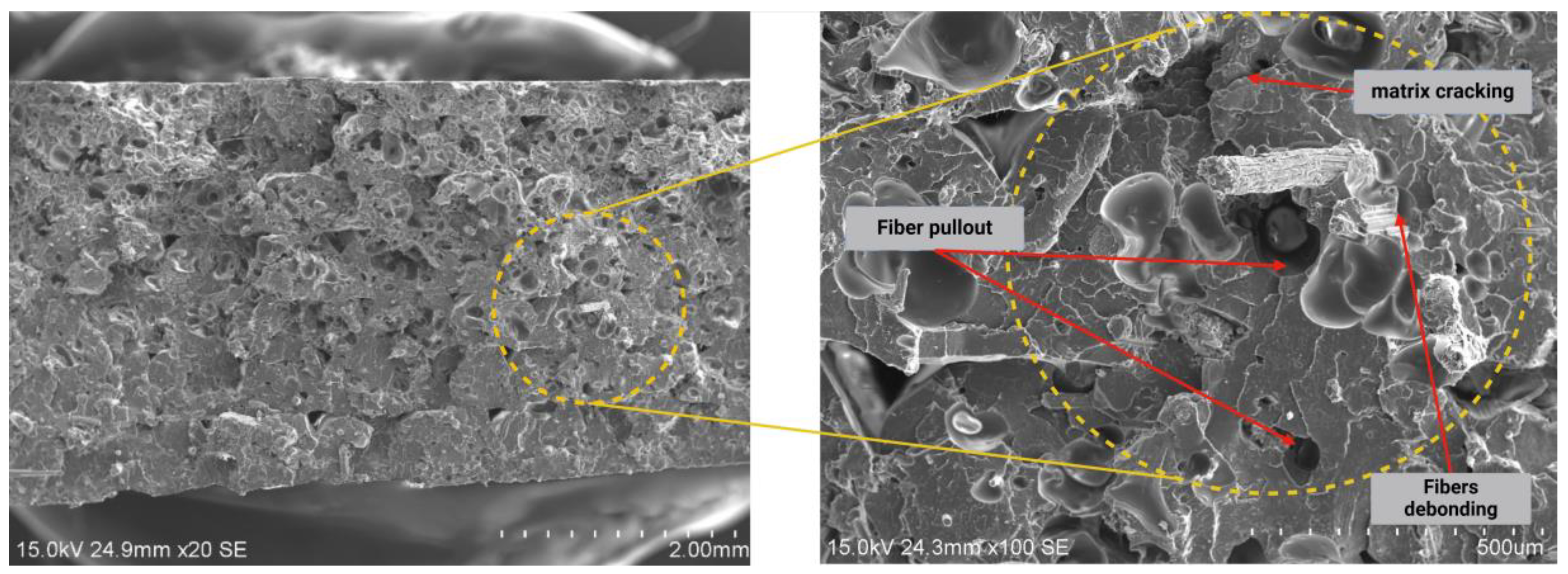 Fibers 13 00038 g005