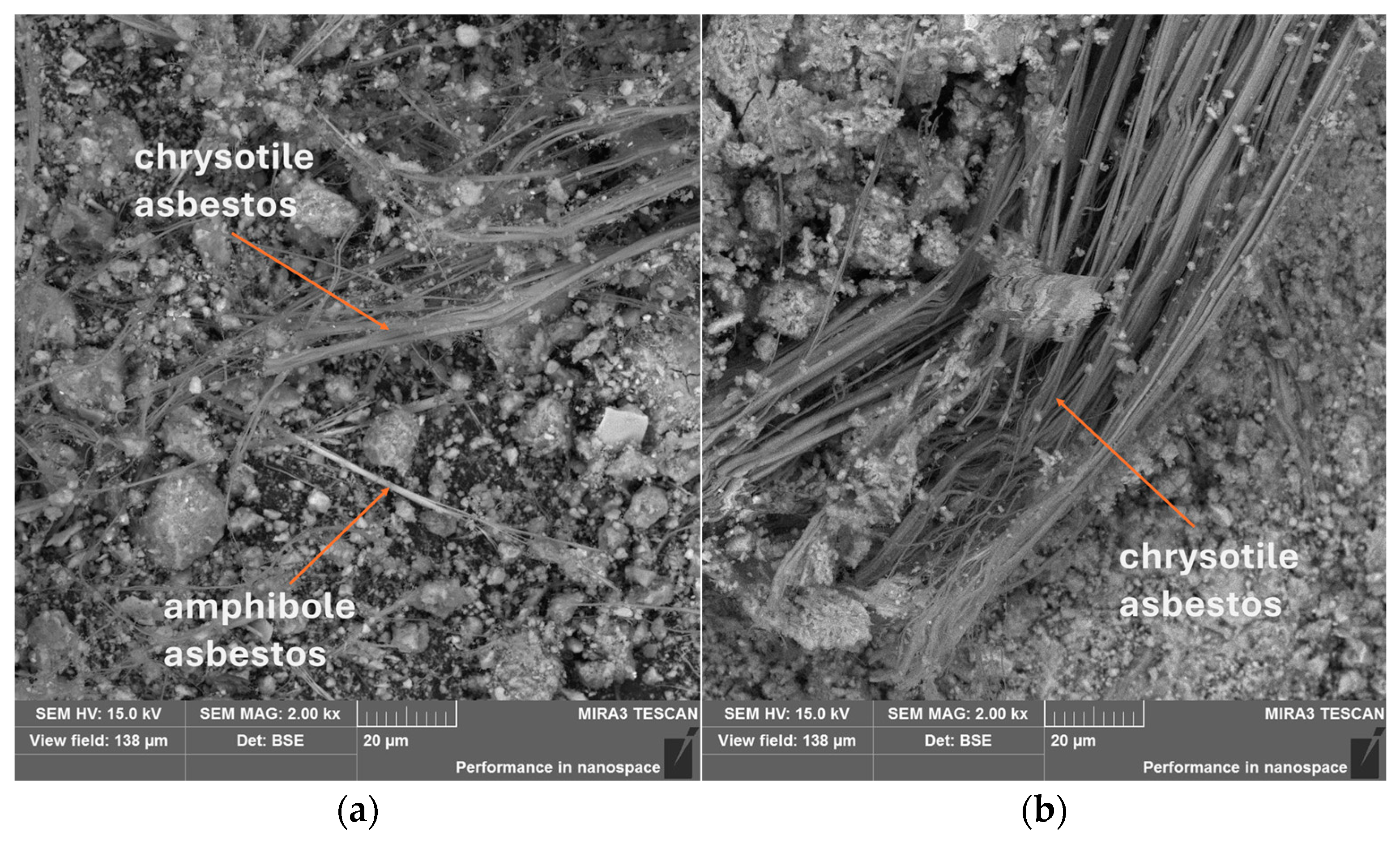 Fibers 13 00043 g001