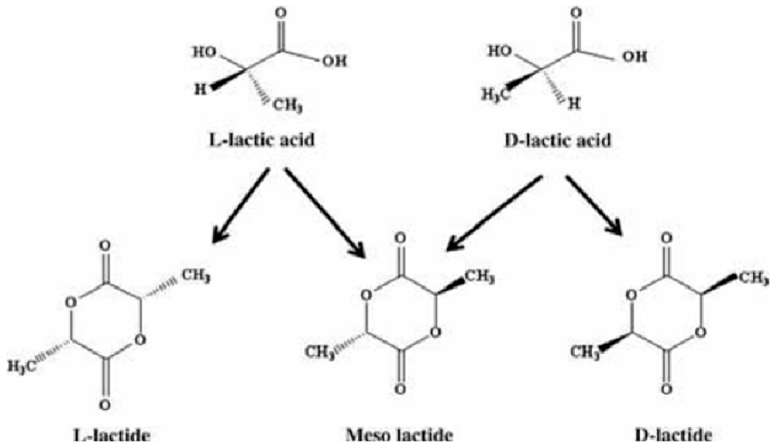 Fibers 13 00044 g001